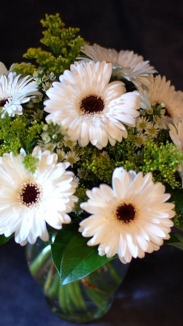 White and Green Flower in Clear Glass Vase. Wallpaper in 720x1280 Resolution