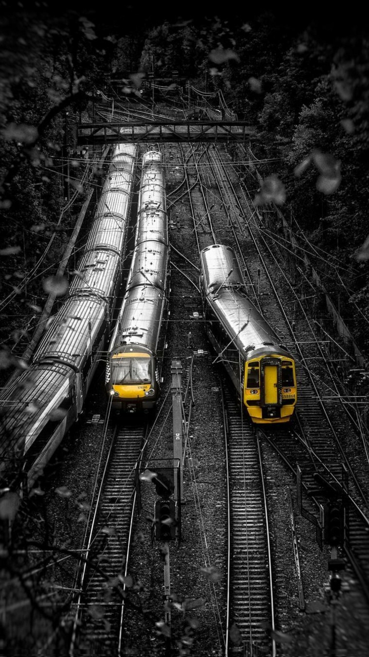 Track, Train, Nature, Infrastructure, Rolling Stock. Wallpaper in 720x1280 Resolution