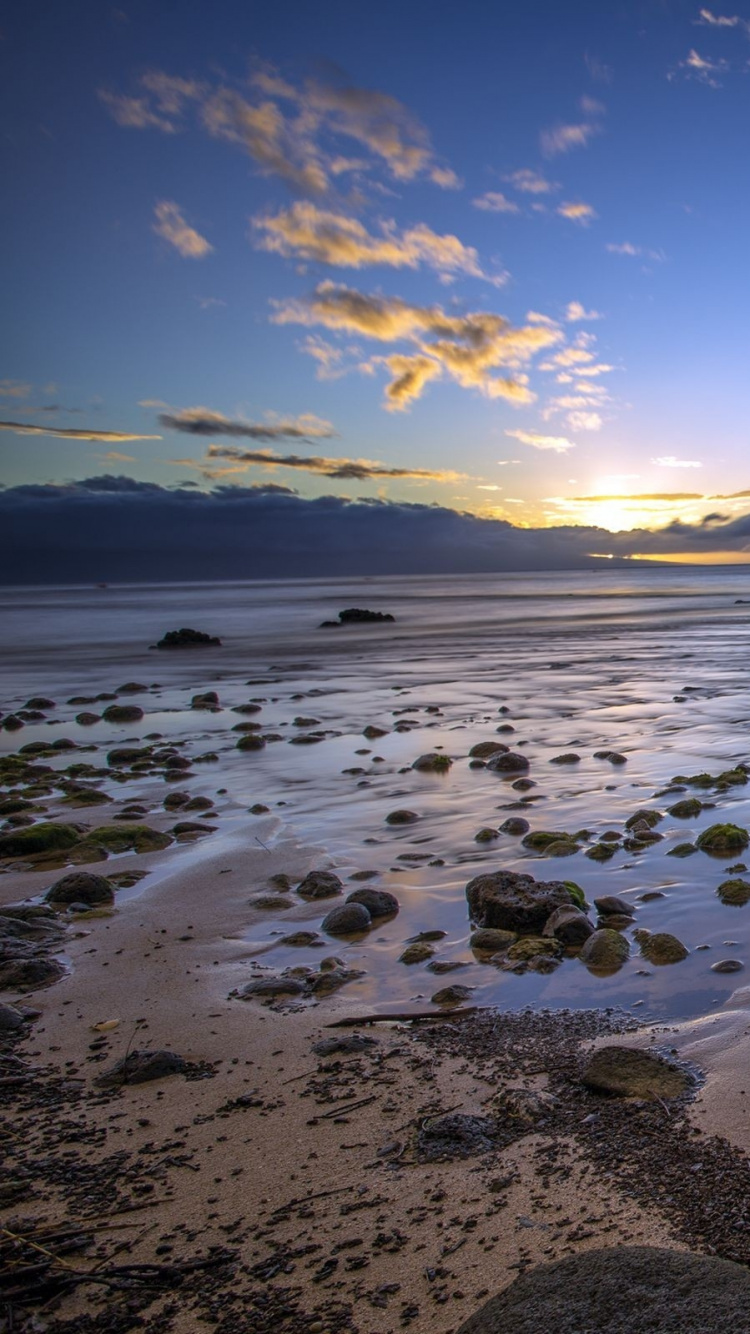 Brown Rock on Sea Shore During Daytime. Wallpaper in 750x1334 Resolution