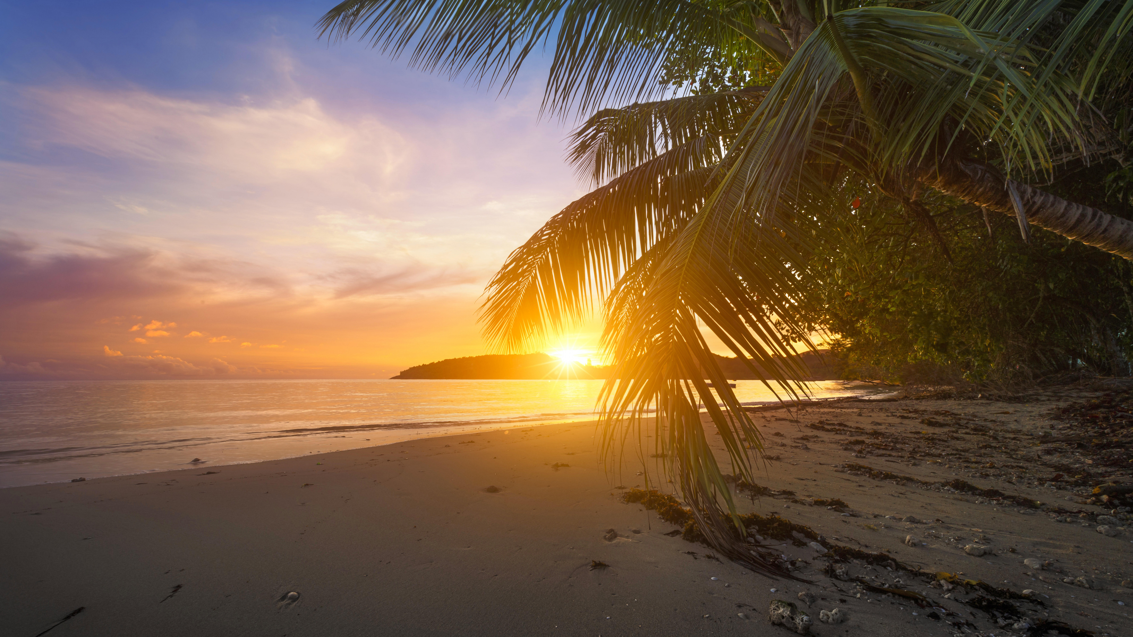 Palme am Strandufer Bei Sonnenuntergang. Wallpaper in 3840x2160 Resolution