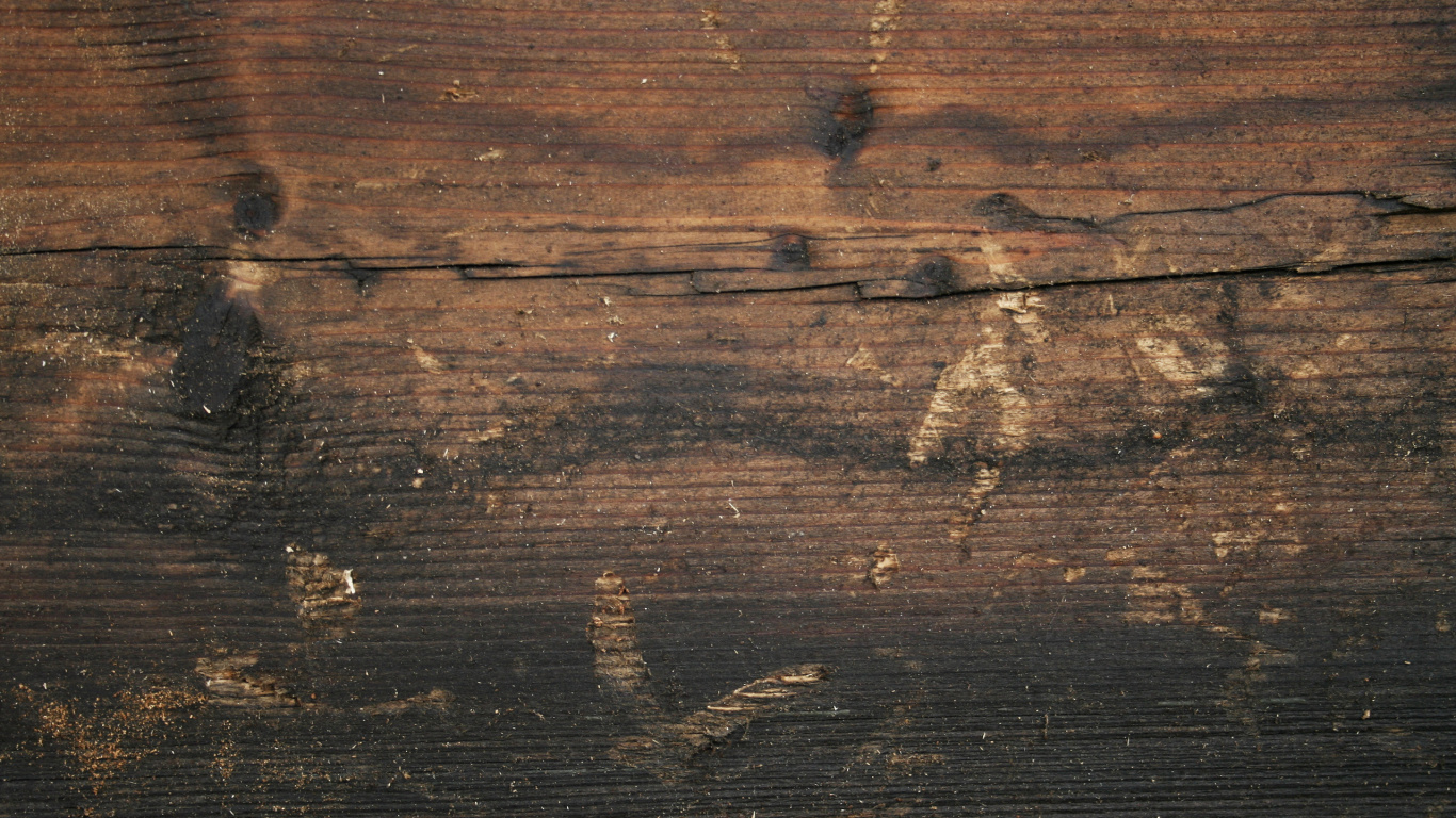 Surface en Bois Marron et Noir. Wallpaper in 1366x768 Resolution