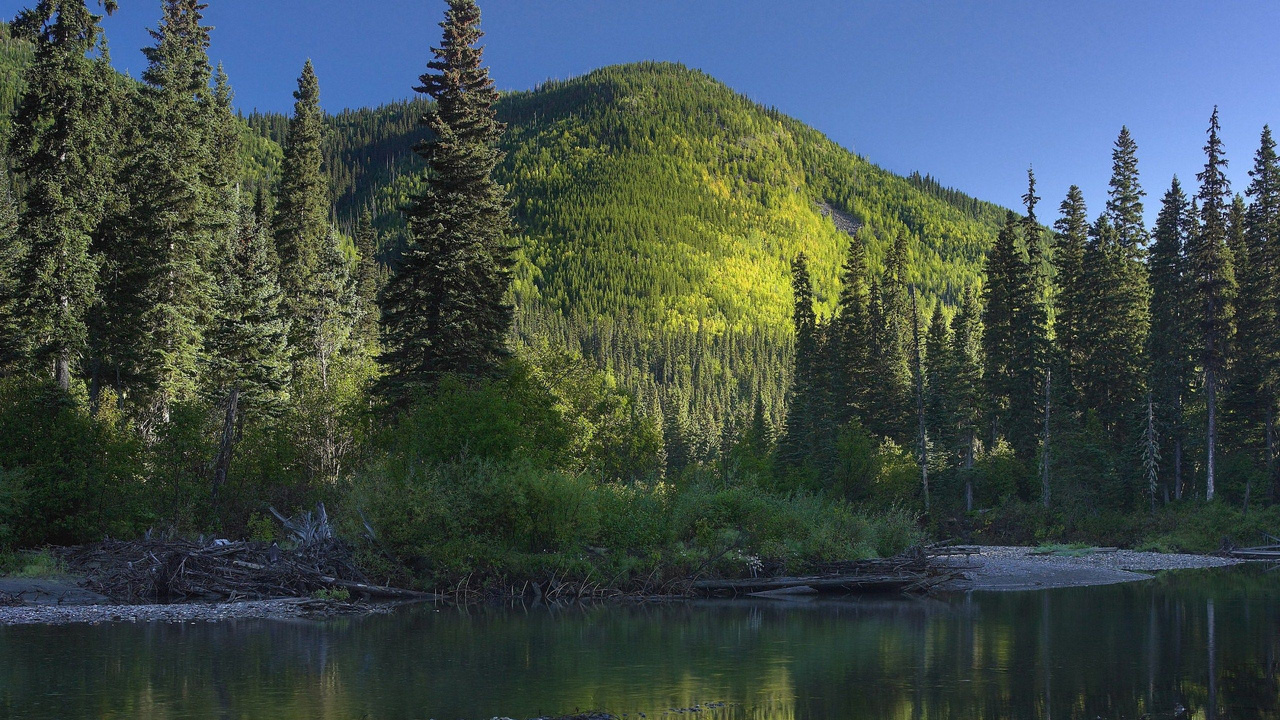 Green Trees Beside Lake Under Blue Sky During Daytime. Wallpaper in 1280x720 Resolution