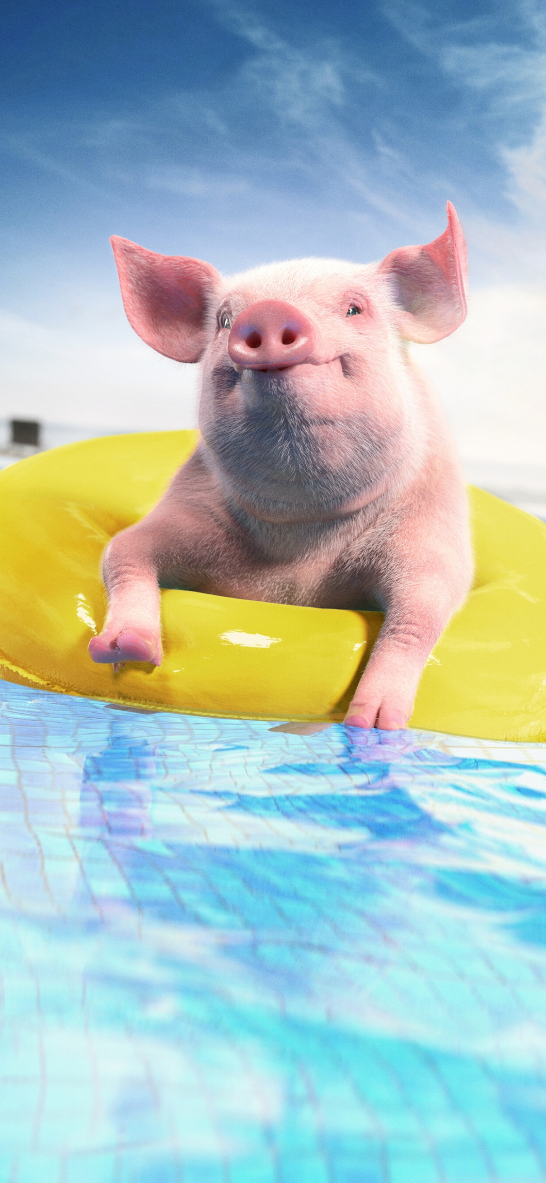 Cochon Blanc Sur Anneau Gonflable Jaune. Wallpaper in 1125x2436 Resolution