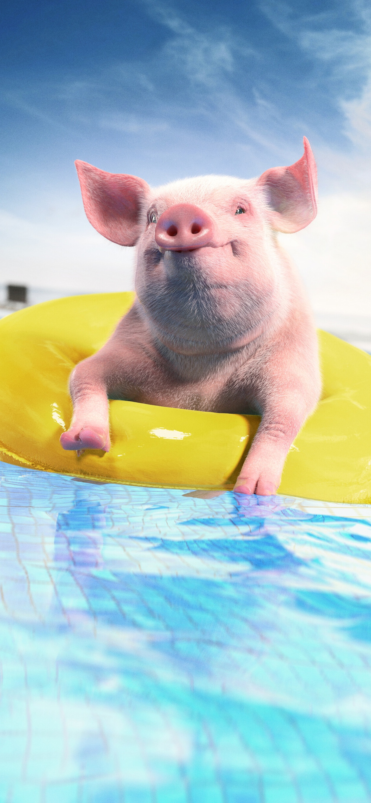 Cochon Blanc Sur Anneau Gonflable Jaune. Wallpaper in 1242x2688 Resolution