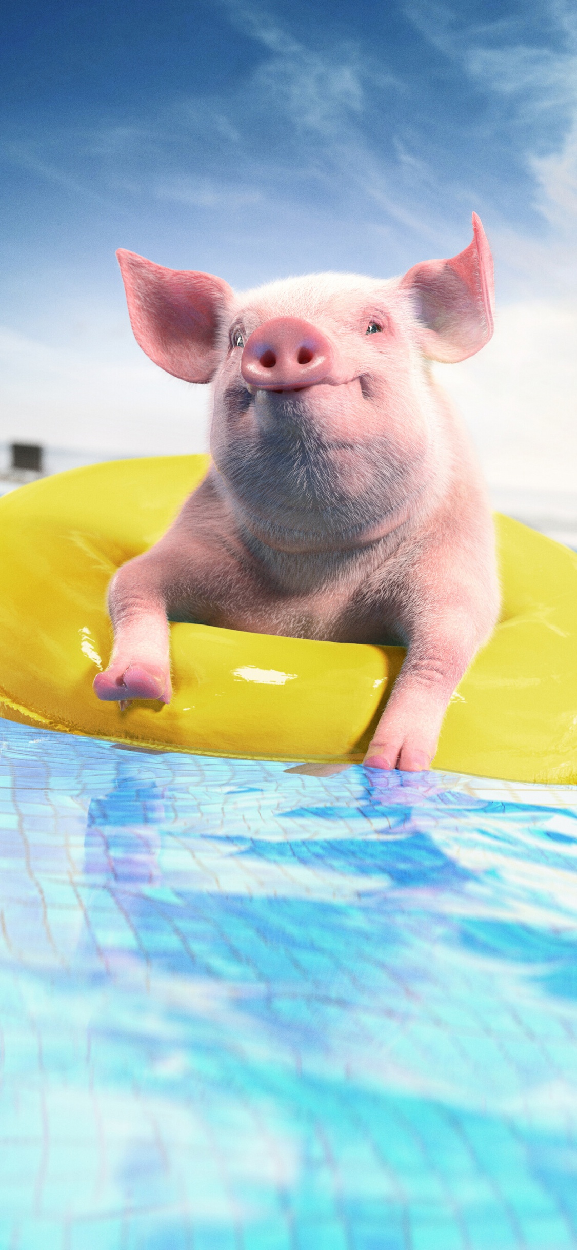 White Pig on Yellow Inflatable Ring. Wallpaper in 1125x2436 Resolution