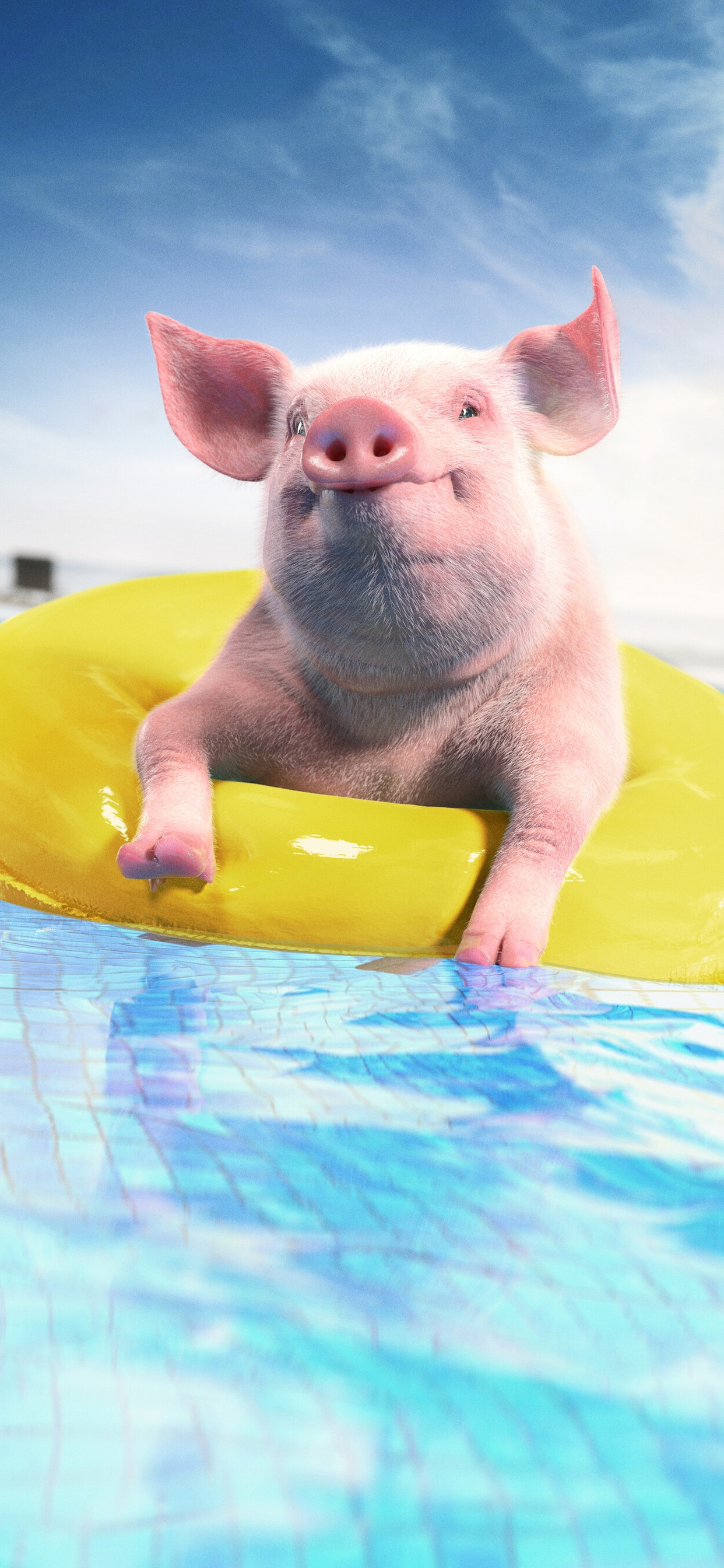 White Pig on Yellow Inflatable Ring. Wallpaper in 1242x2688 Resolution