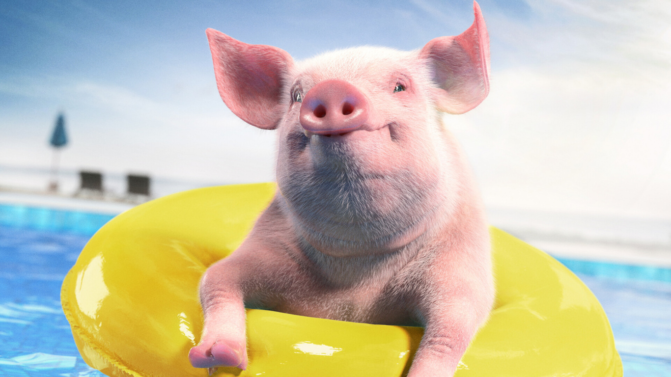 White Pig on Yellow Inflatable Ring. Wallpaper in 1366x768 Resolution