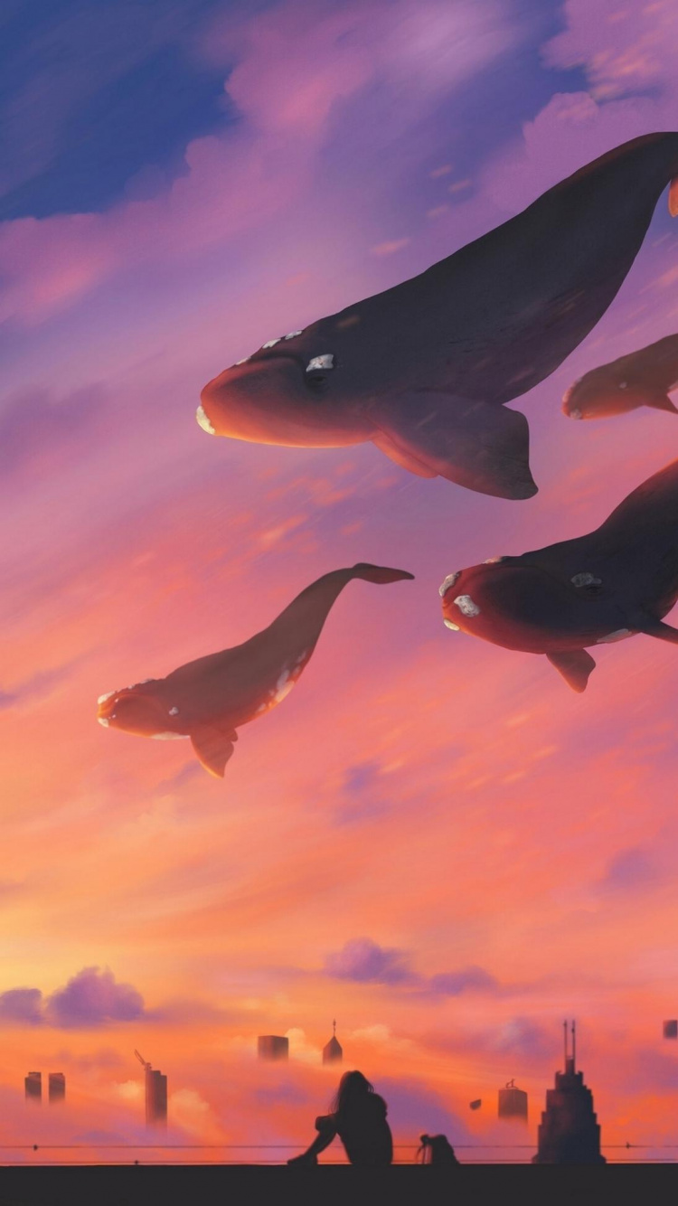 Ambiente, Luz, Naturaleza, Naranja, Los Viajes Aéreos. Wallpaper in 750x1334 Resolution