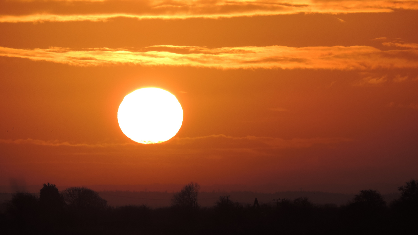 Silhouette of Trees During Sunset. Wallpaper in 1366x768 Resolution