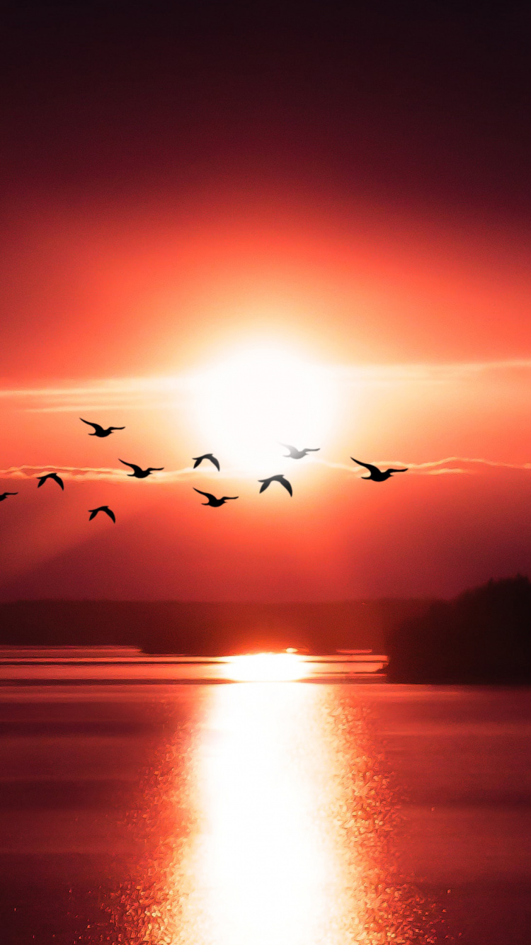 Afterglow, Matin, Horizon, Lever, Soleil. Wallpaper in 750x1334 Resolution