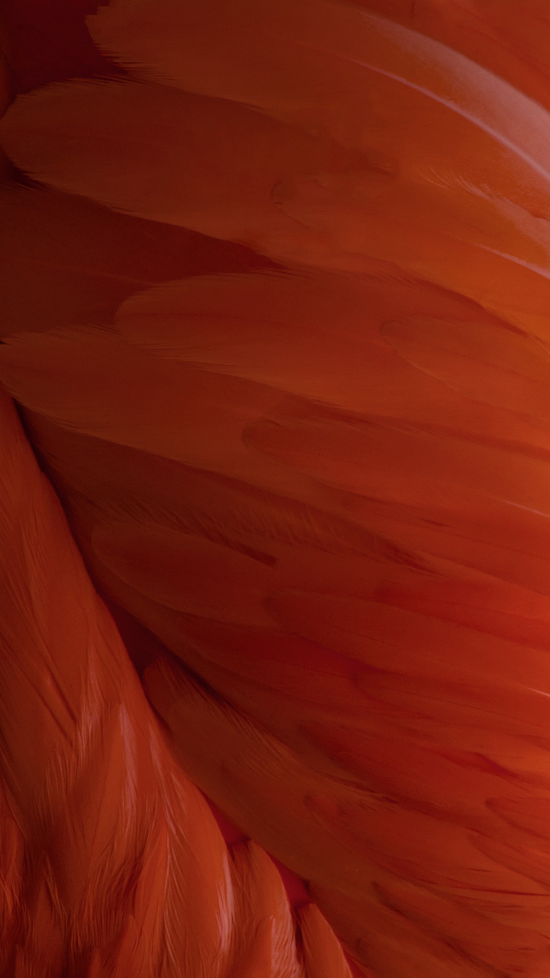 IOS 9, IPhone, Apple, IOS, Ipod Touch. Wallpaper in 1080x1920 Resolution
