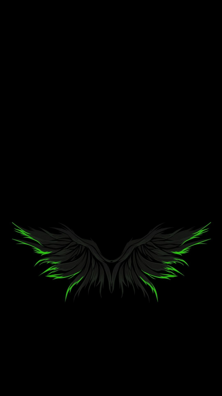 Aile, Plume, Oiseau, Insecte, Queue. Wallpaper in 750x1334 Resolution