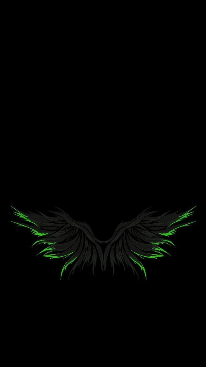 Ala, Ave, Insecto, Planta Terrestre, Pico. Wallpaper in 720x1280 Resolution