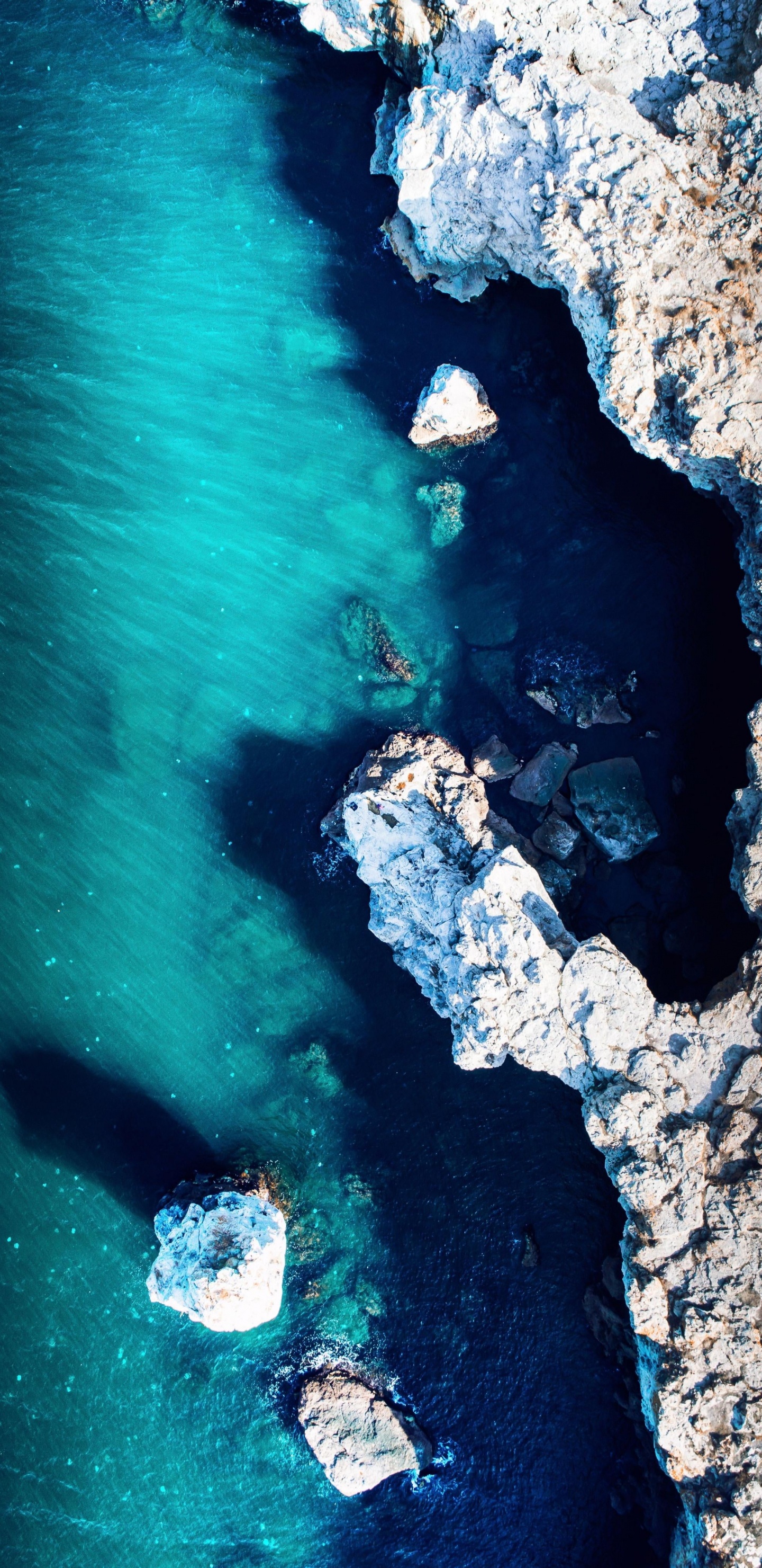 Water, Water Resources, Azure, Blue, Tree. Wallpaper in 1440x2960 Resolution