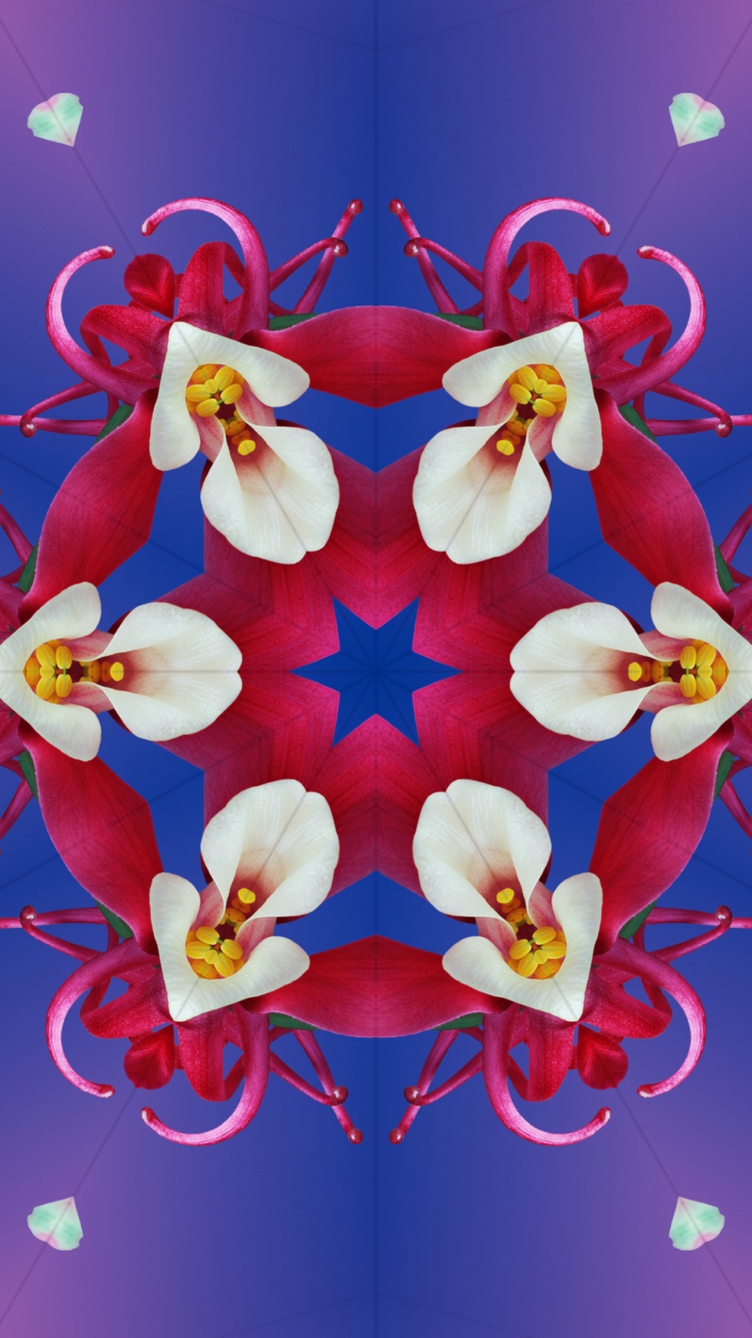 Ios 17, Apples, Ios 16, Ios, Flower. Wallpaper in 1080x1920 Resolution