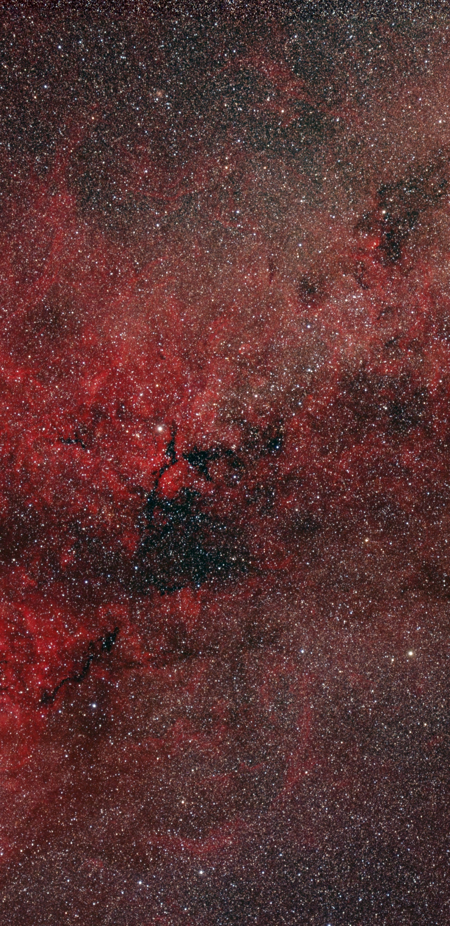 Nébuleuse, Arts Visuels, L'astronomie, Brown, Objet Astronomique. Wallpaper in 1440x2960 Resolution