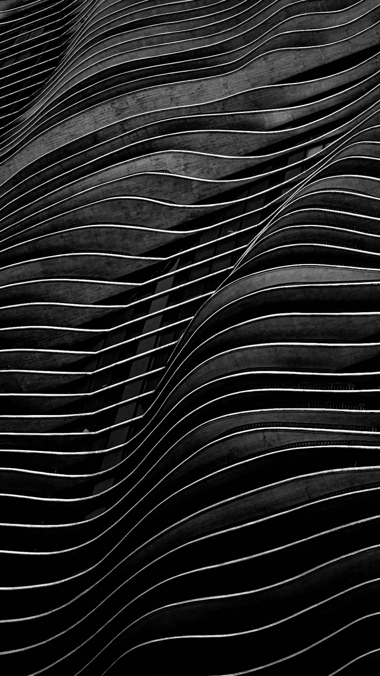 Black and White, Monochrome, Natural Material, Pattern, Electric Blue. Wallpaper in 750x1334 Resolution