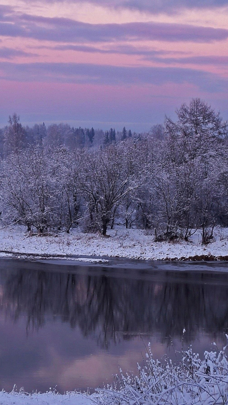 Arbres Couverts de Neige à Côté de la Rivière Pendant la Journée. Wallpaper in 750x1334 Resolution