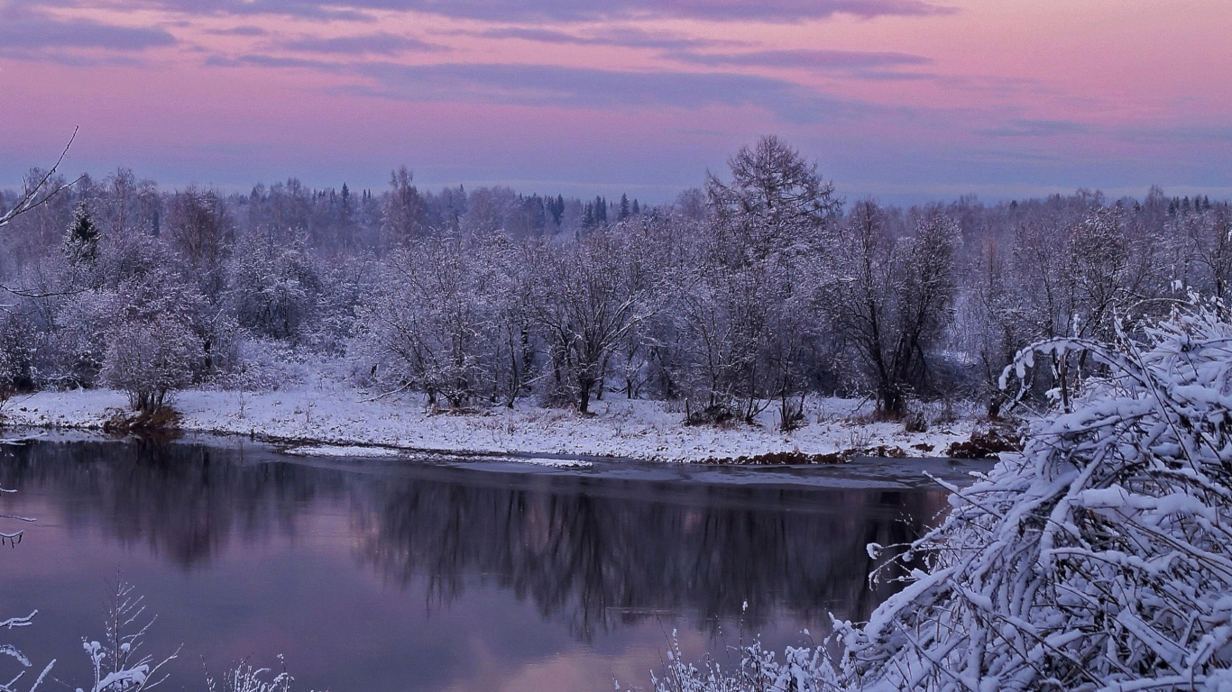 Snow Covered Trees Beside River During Daytime. Wallpaper in 1366x768 Resolution