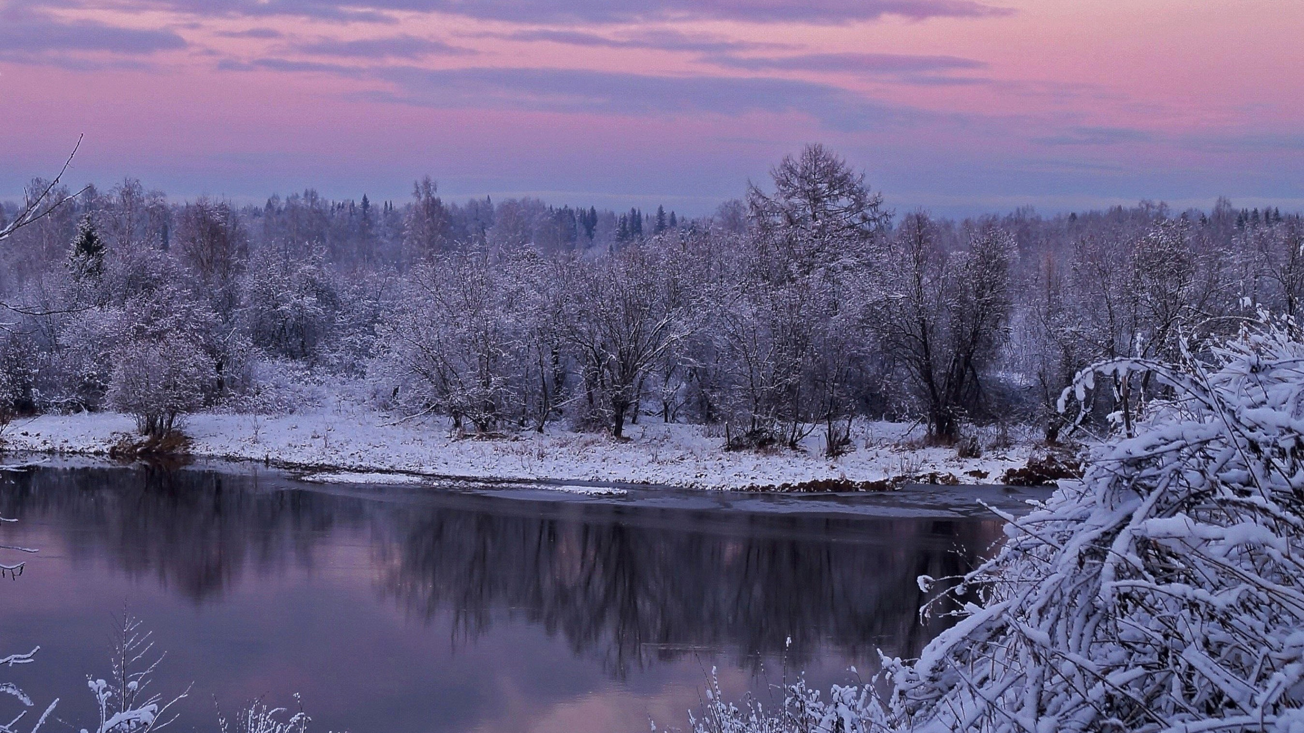 Snow Covered Trees Beside River During Daytime. Wallpaper in 2560x1440 Resolution