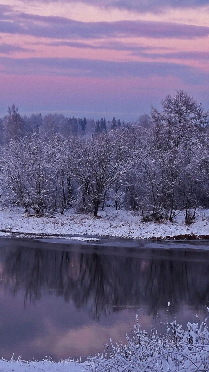 Árboles Cubiertos de Nieve Junto al Río Durante el Día. Wallpaper in 720x1280 Resolution