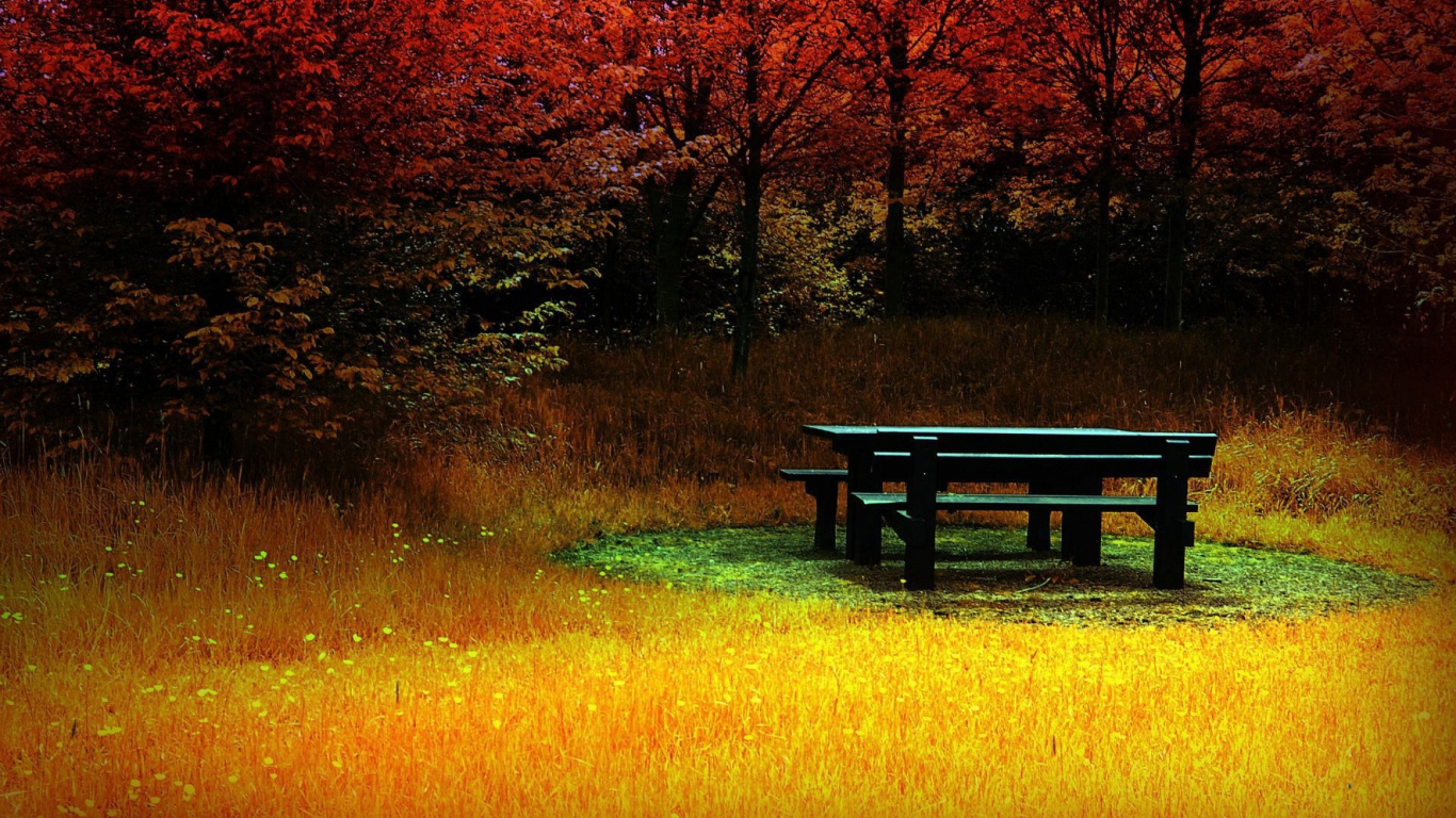 Brown Wooden Bench on Green Grass Field. Wallpaper in 1366x768 Resolution