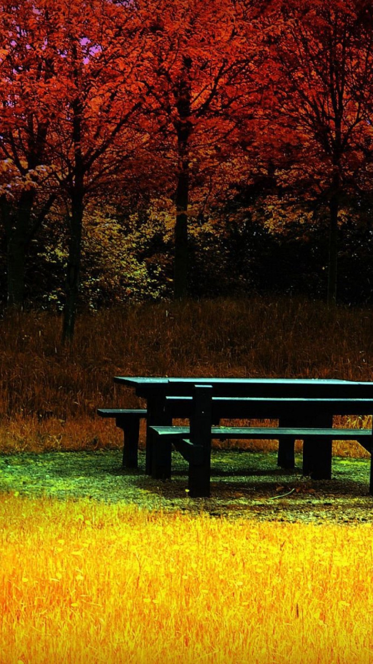 Banc en Bois Marron Sur Terrain D'herbe Verte. Wallpaper in 750x1334 Resolution