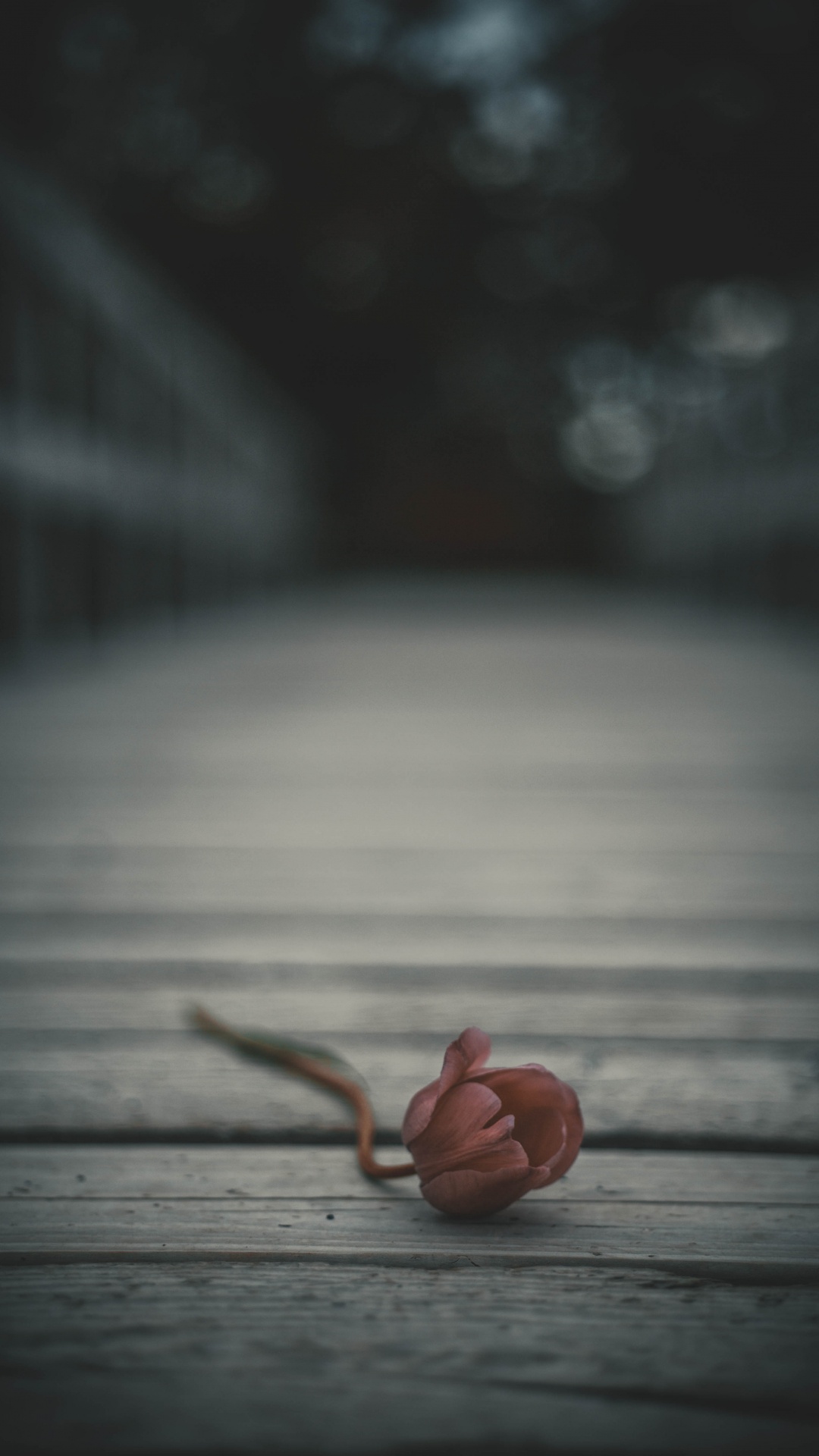 Brown Wooden Floor With Brown Rope. Wallpaper in 1080x1920 Resolution