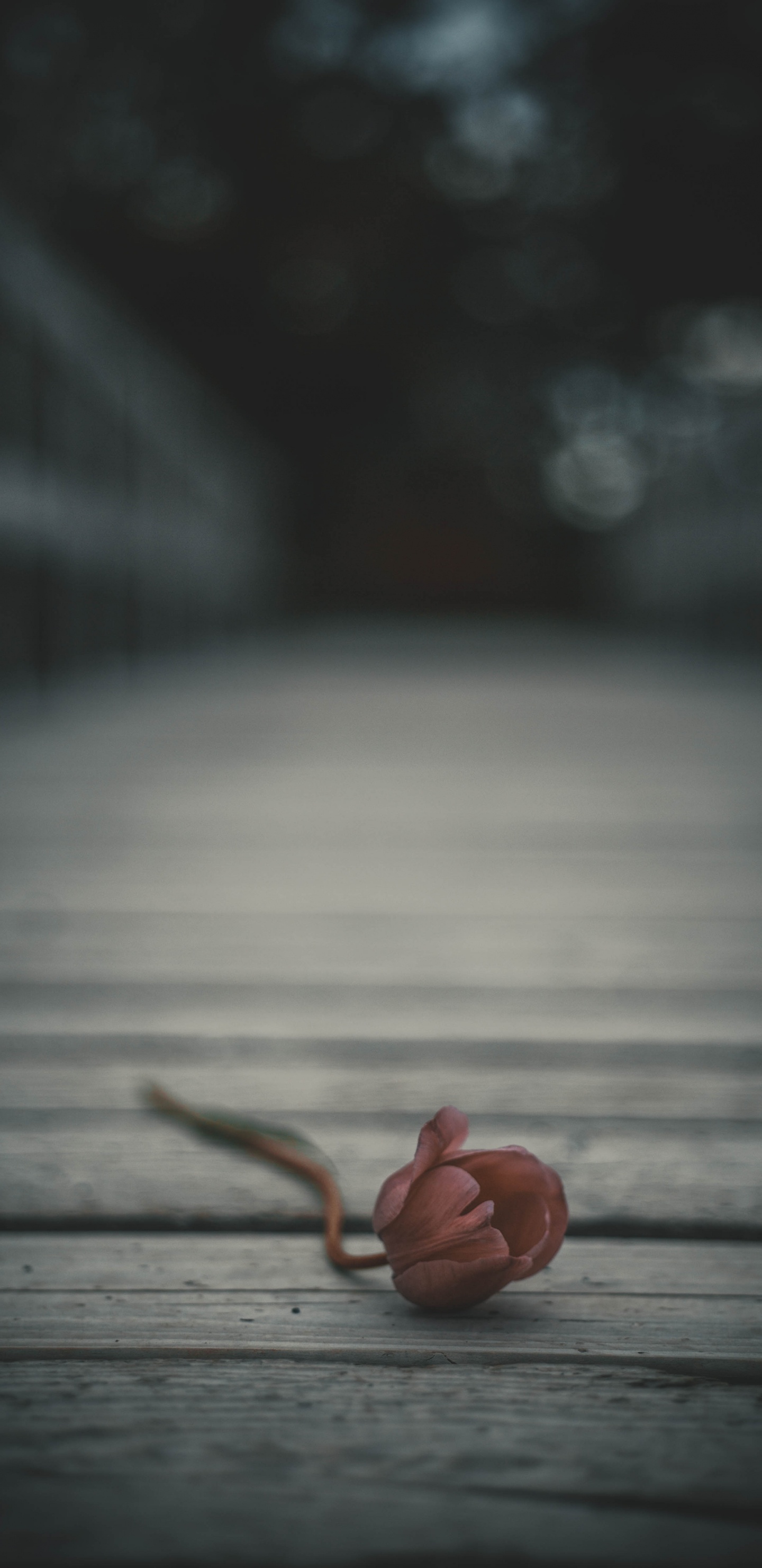 Brown Wooden Floor With Brown Rope. Wallpaper in 1440x2960 Resolution