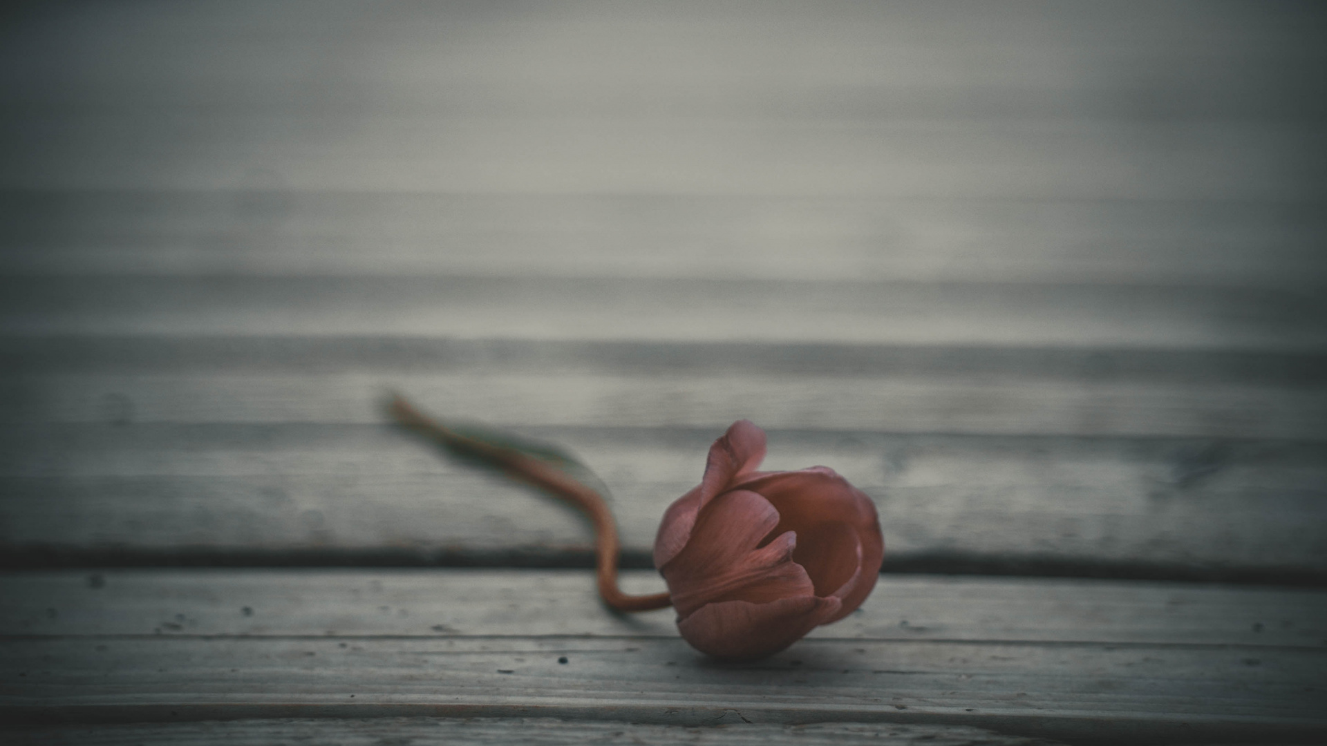 Brown Wooden Floor With Brown Rope. Wallpaper in 1920x1080 Resolution