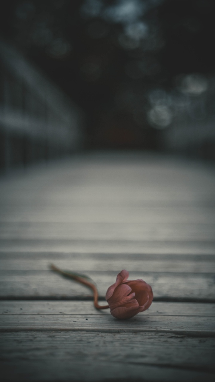 Parquet Marron Avec Corde Marron. Wallpaper in 720x1280 Resolution