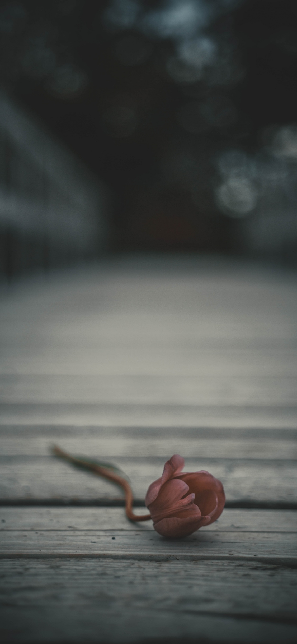 Brauner Holzboden Mit Braunem Seil. Wallpaper in 1125x2436 Resolution