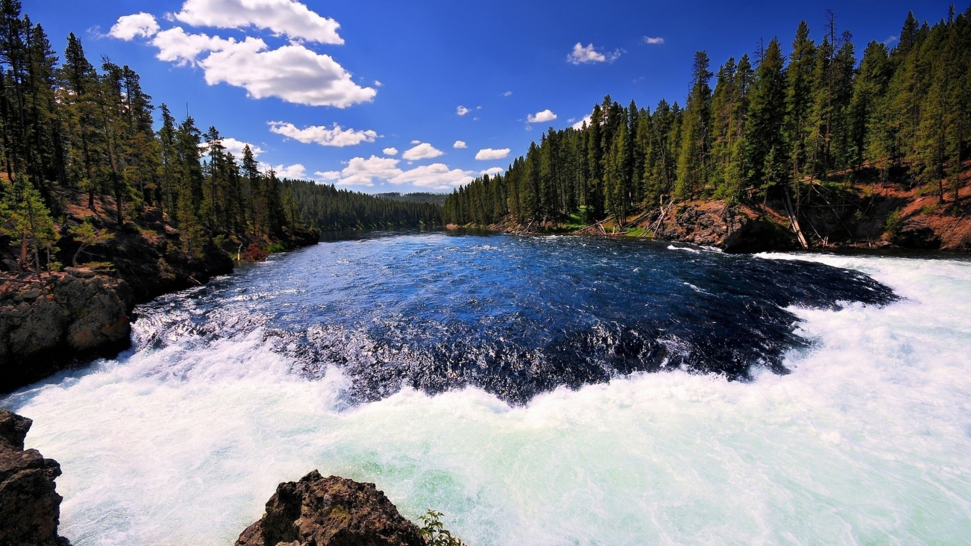 Green Pine Trees Beside River Under Blue Sky During Daytime. Wallpaper in 1920x1080 Resolution
