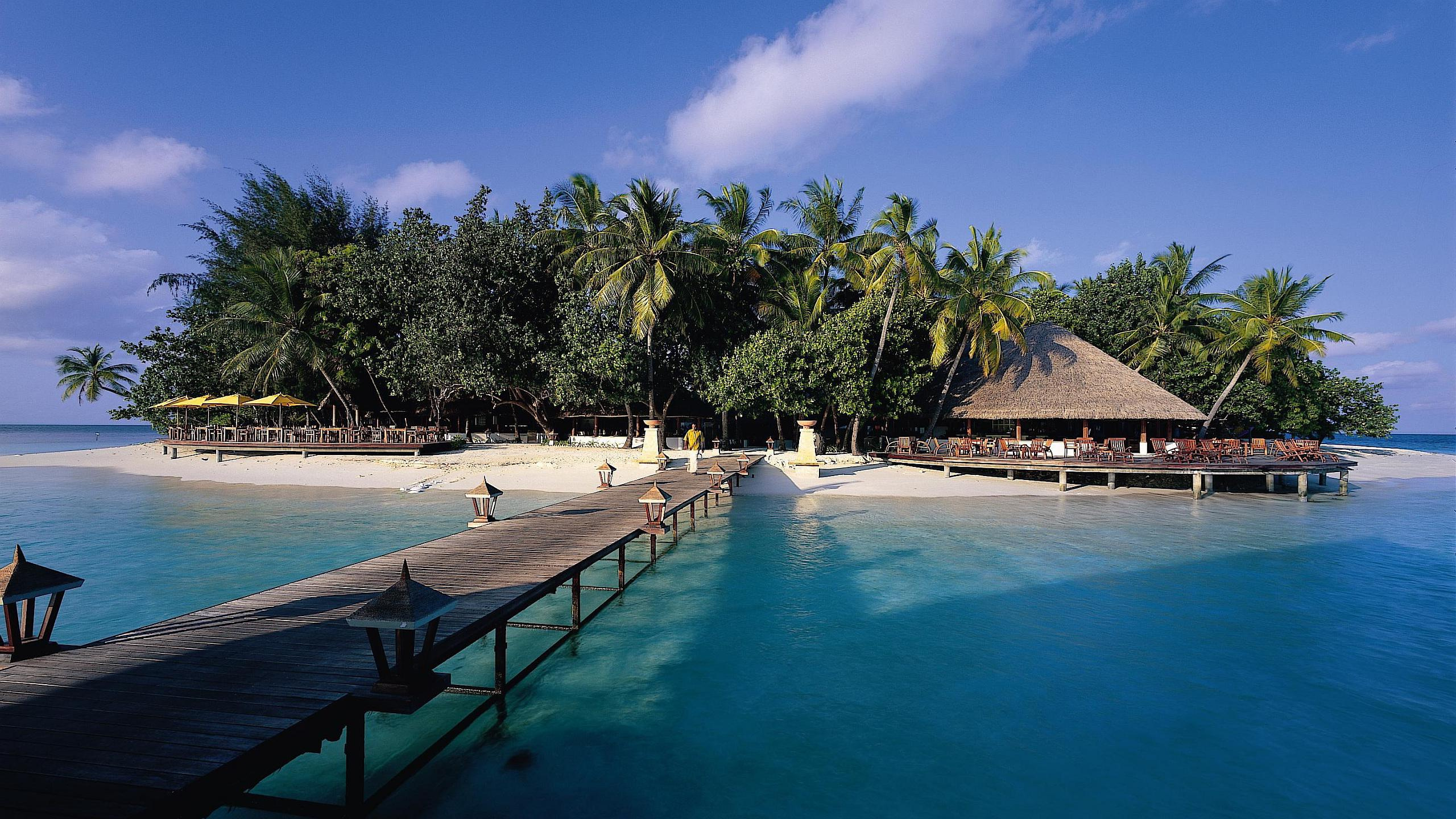 Brown Wooden Lounge Chairs Near Swimming Pool During Daytime. Wallpaper in 2560x1440 Resolution