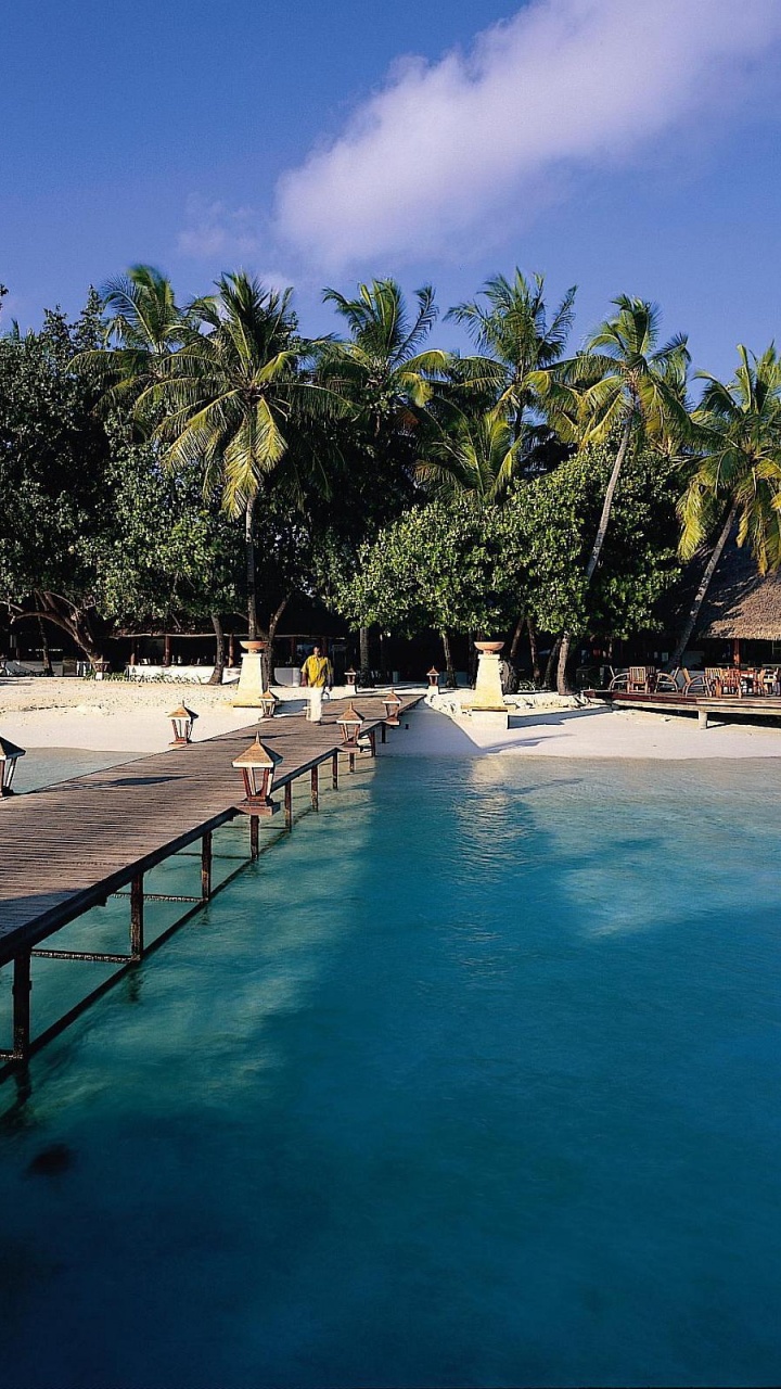 Brown Wooden Lounge Chairs Near Swimming Pool During Daytime. Wallpaper in 720x1280 Resolution