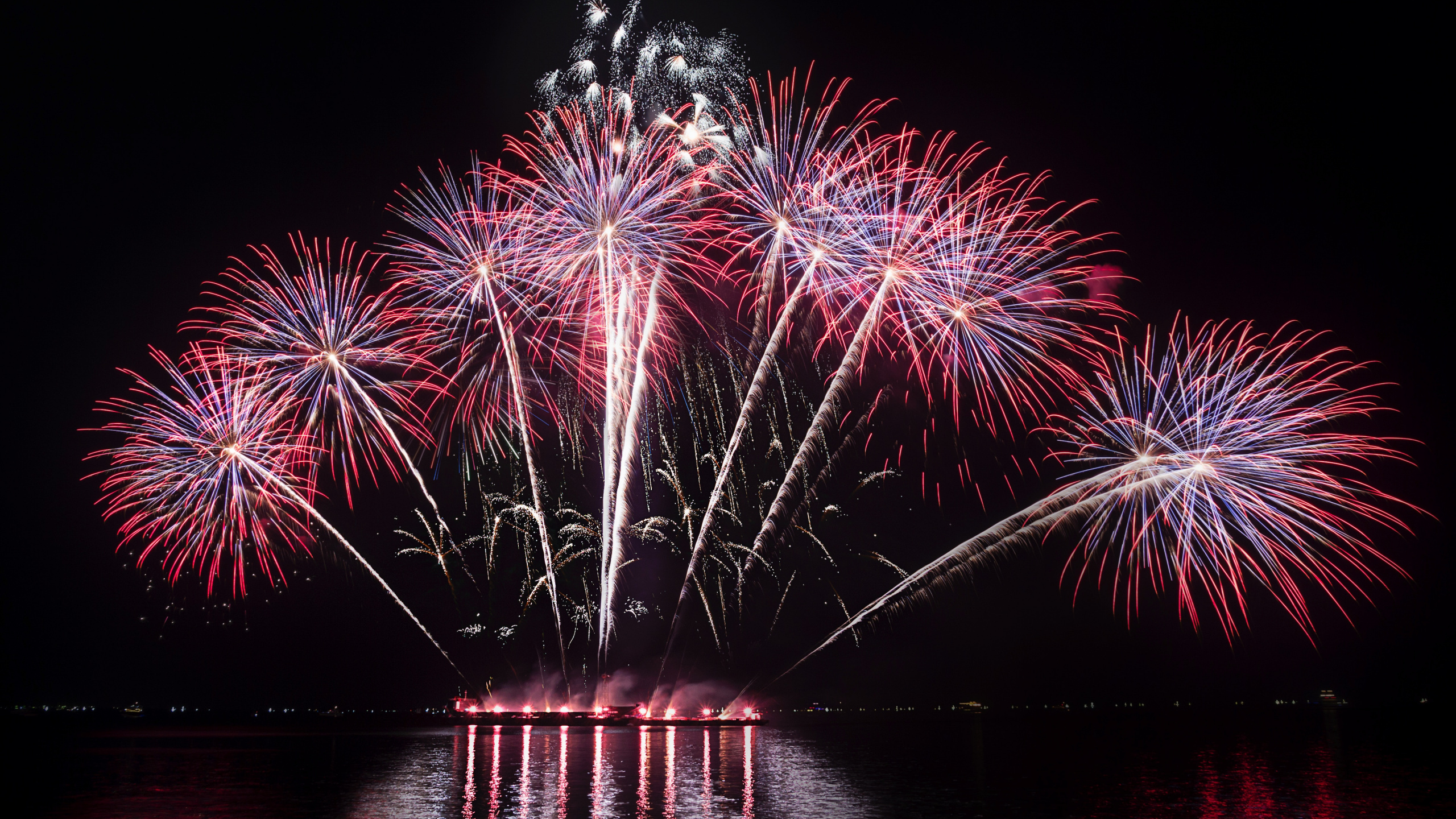 Pirotecnia, Naturaleza, Reflexión, el Día de Año Nuevo, Medianoche. Wallpaper in 2560x1440 Resolution