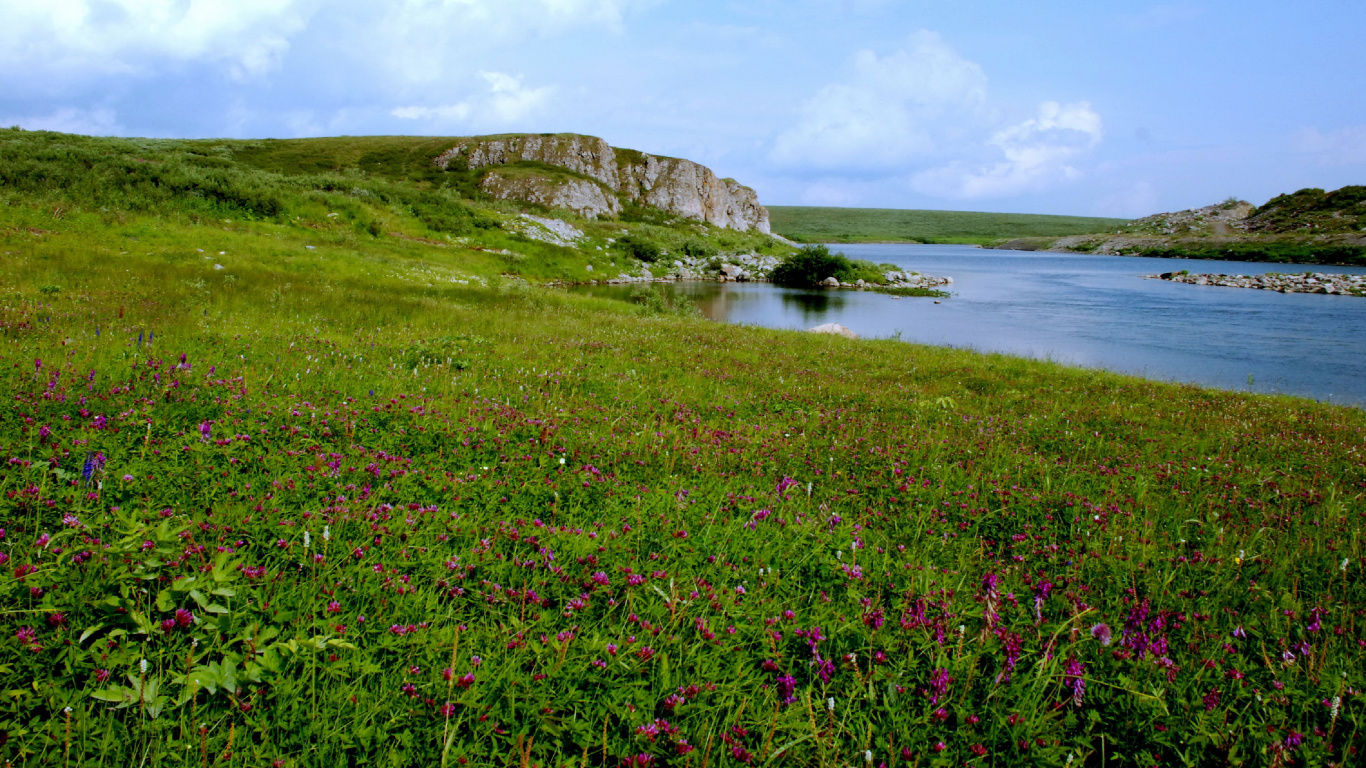Green Grass Field Beside Body of Water During Daytime. Wallpaper in 1366x768 Resolution