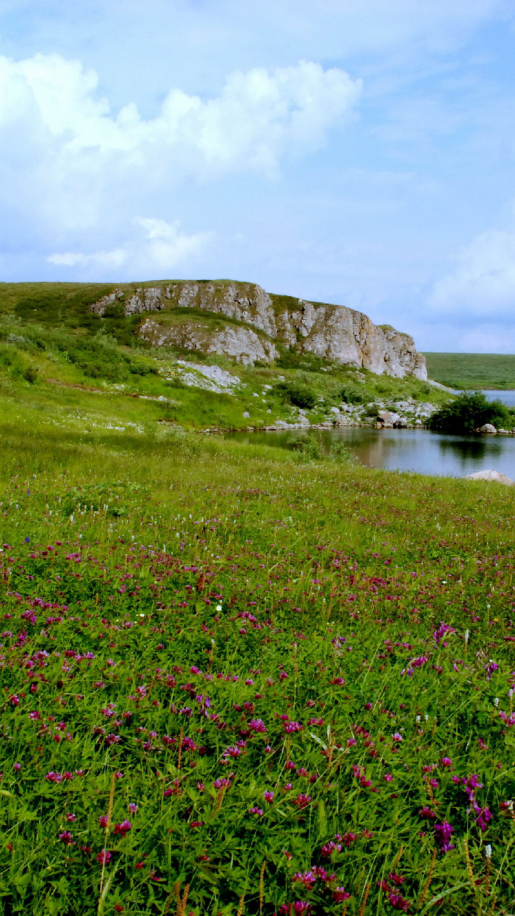 Green Grass Field Beside Body of Water During Daytime. Wallpaper in 750x1334 Resolution