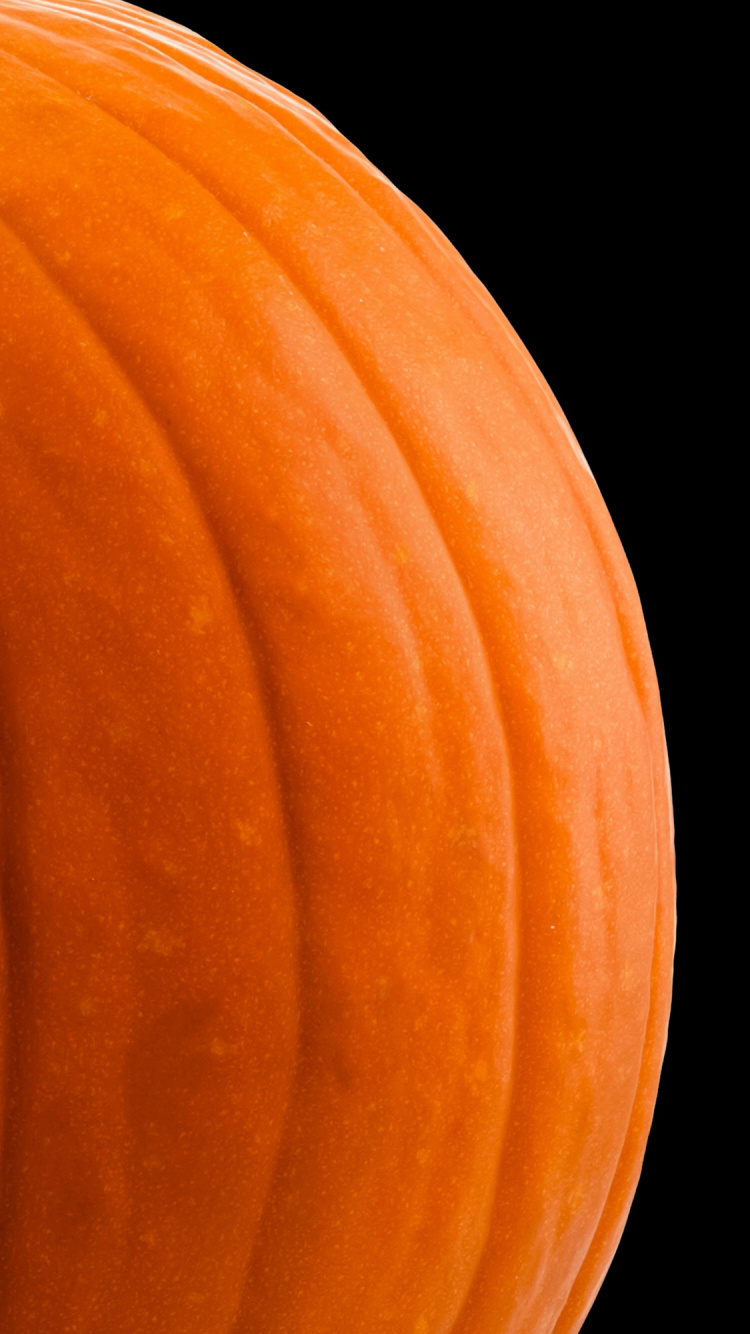 Orange, Squash, Wood, Tints and Shades, Petal. Wallpaper in 750x1334 Resolution