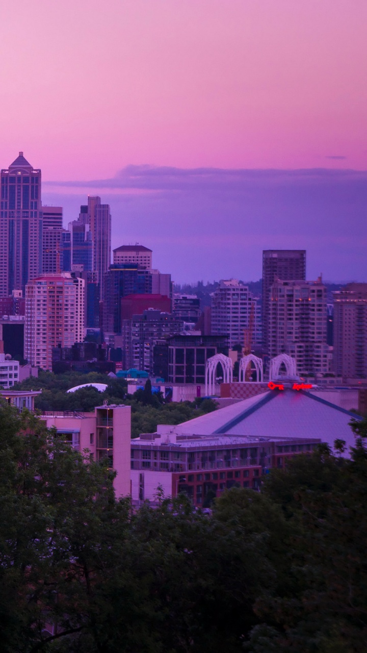 Árboles Verdes Cerca de Los Edificios de la Ciudad Durante el Día. Wallpaper in 720x1280 Resolution