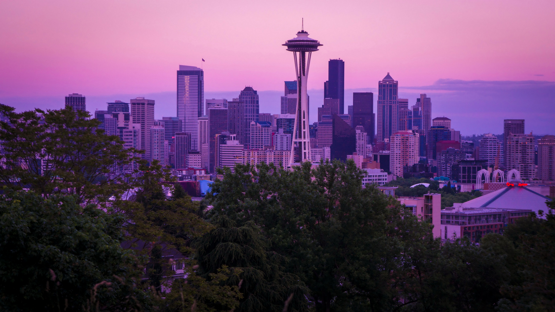 Green Trees Near City Buildings During Daytime. Wallpaper in 1920x1080 Resolution