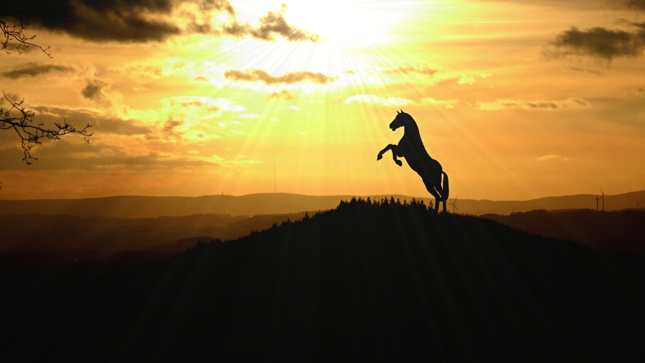 Horse, Extreme Sport, Sunset, Cloud, Silhouette. Wallpaper in 1280x720 Resolution