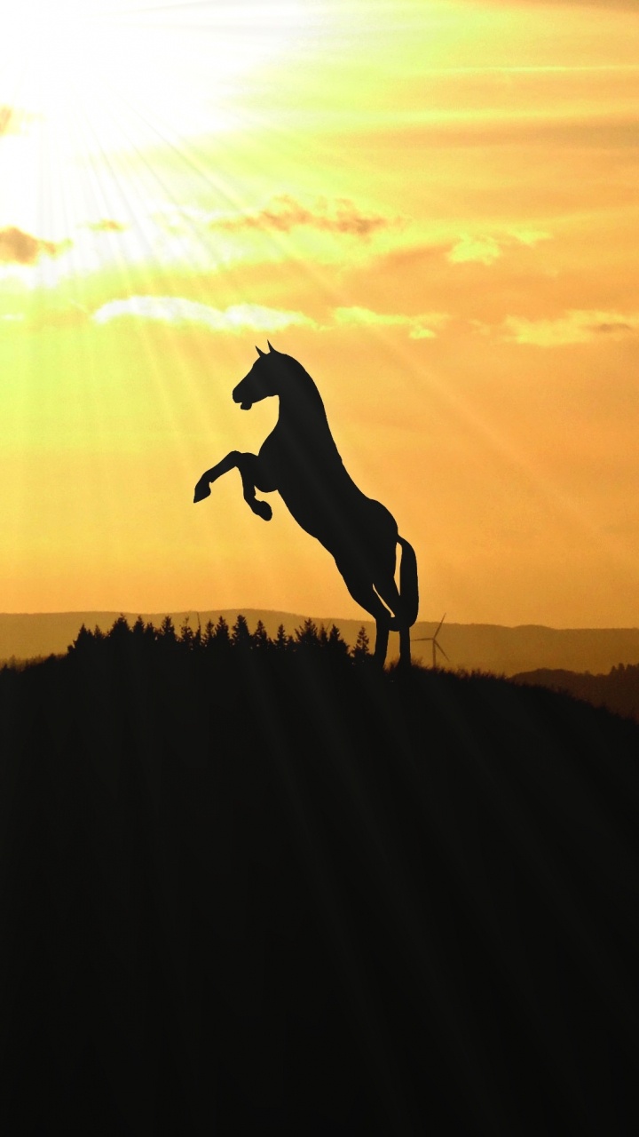 Sport Extrême, Silhouette, Flip Acrobatique, Rétro-éclairage, Horizon. Wallpaper in 720x1280 Resolution