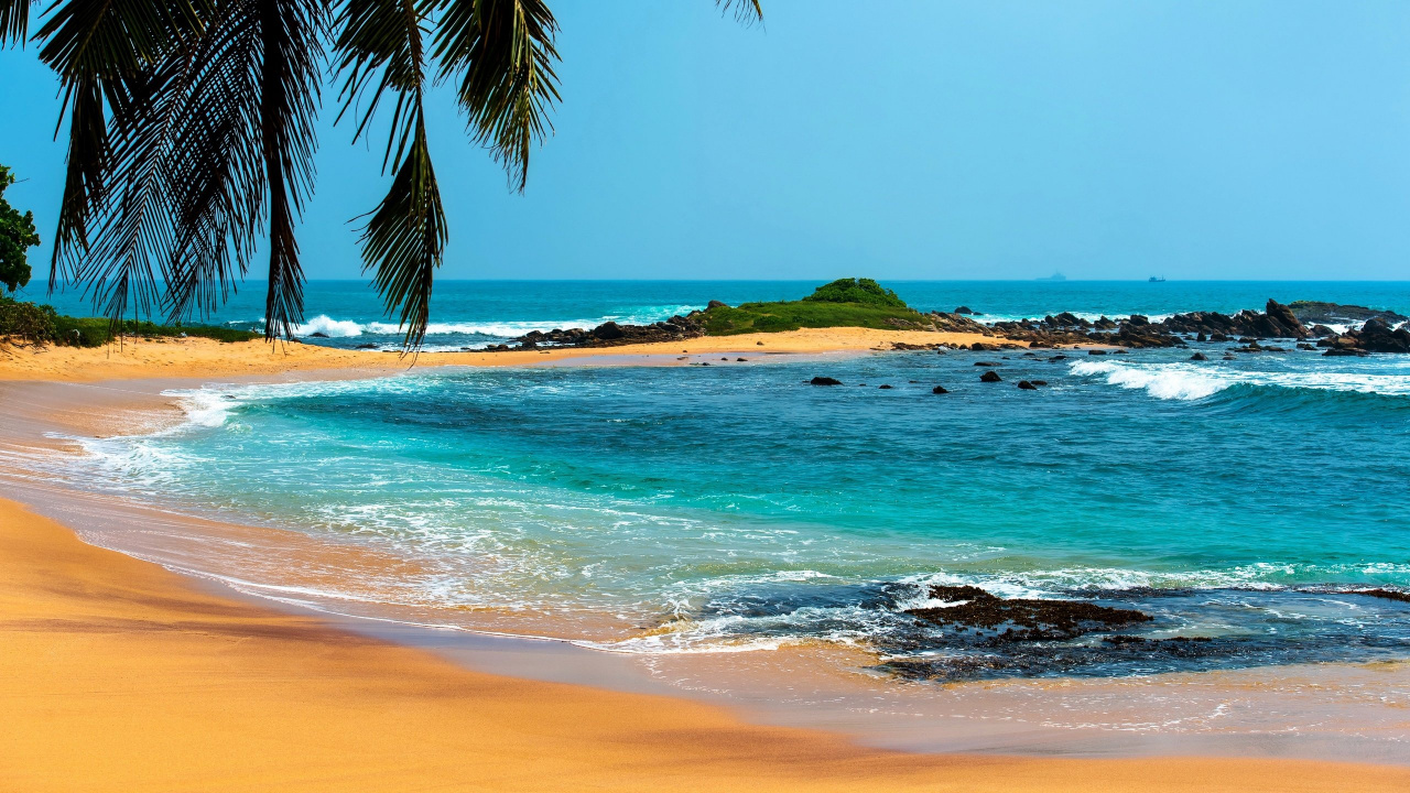 Green Palm Tree on Seashore During Daytime. Wallpaper in 1280x720 Resolution