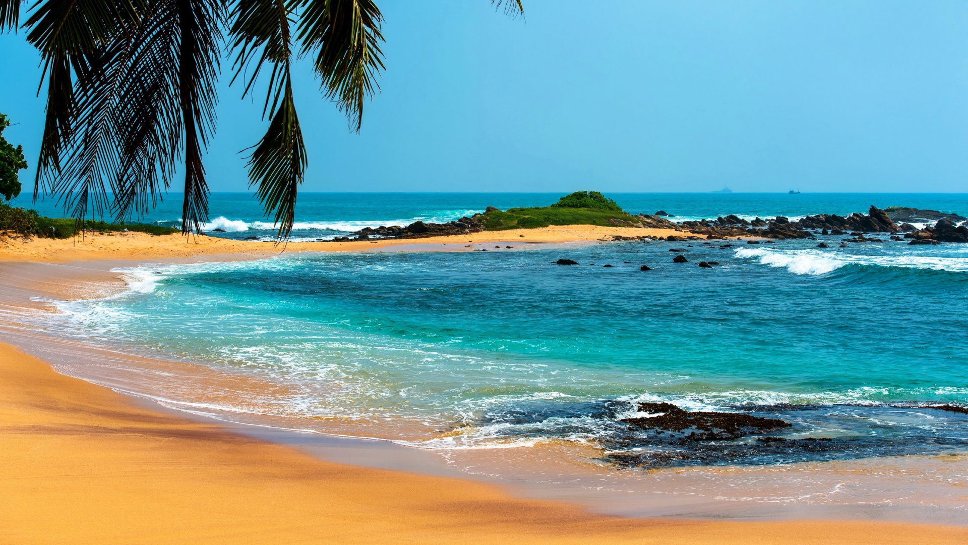 Green Palm Tree on Seashore During Daytime. Wallpaper in 1920x1080 Resolution