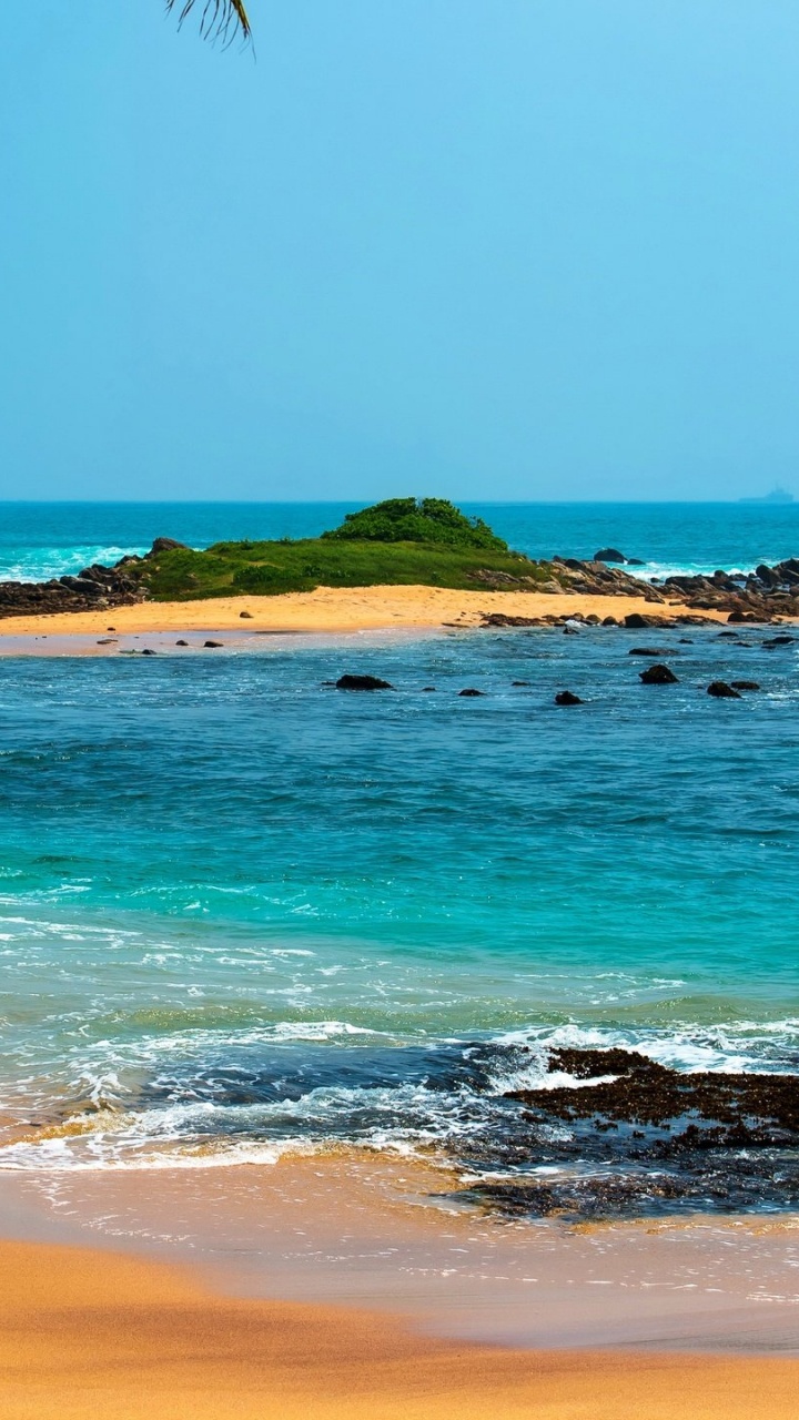 Green Palm Tree on Seashore During Daytime. Wallpaper in 720x1280 Resolution