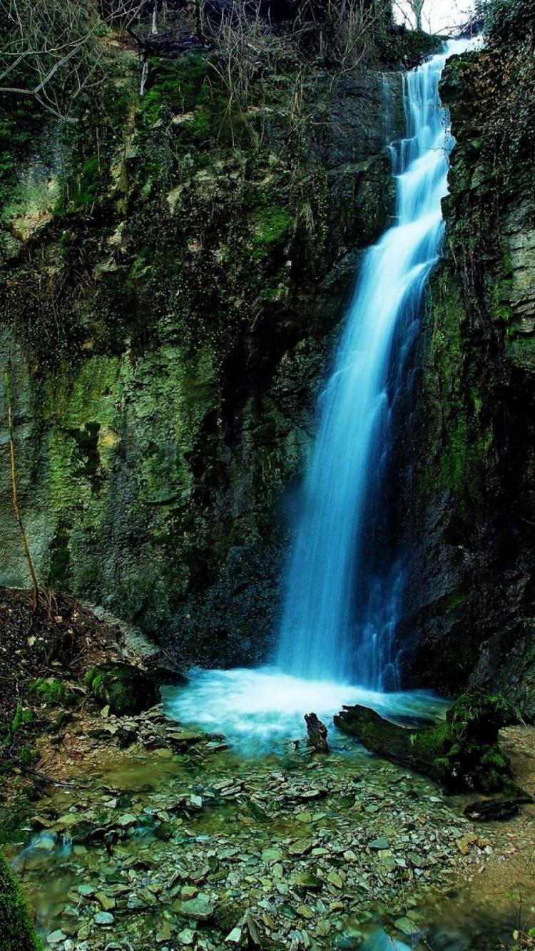 el Agua Cae en Medio Del Bosque. Wallpaper in 750x1334 Resolution
