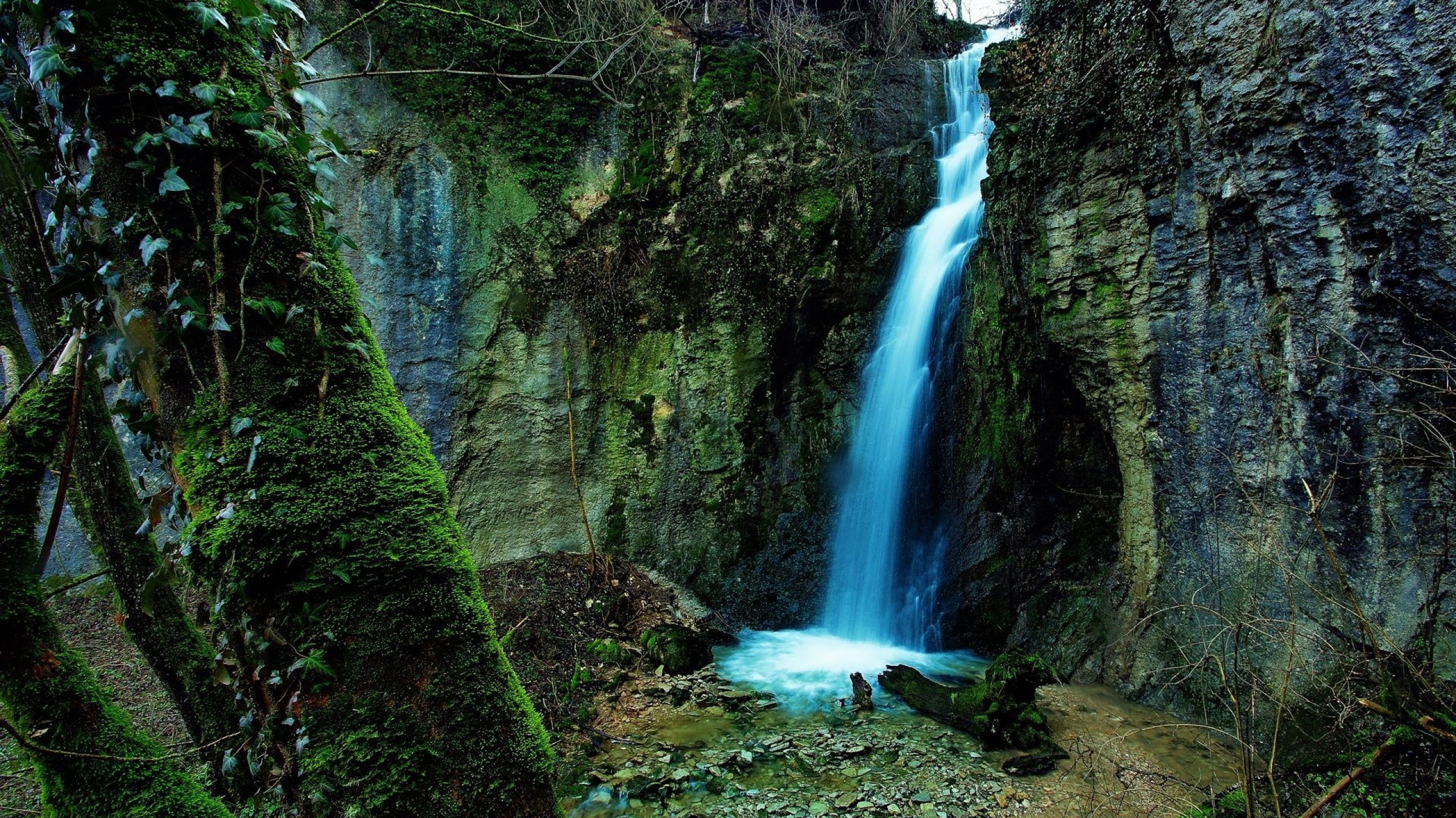 Water Falls in The Middle of The Forest. Wallpaper in 2560x1440 Resolution