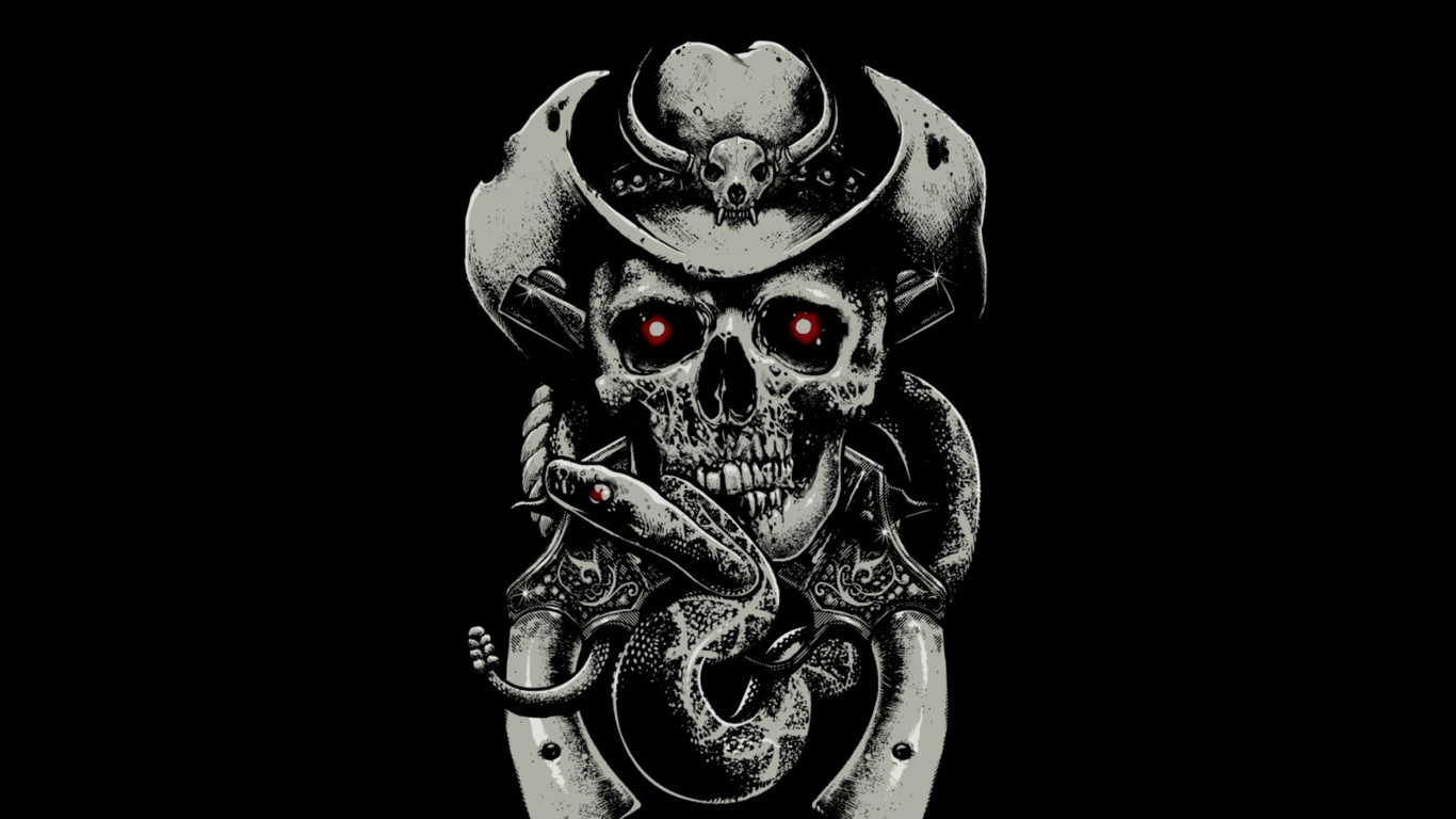 Skull, Illustration, Bone, Black and White. Wallpaper in 1366x768 Resolution