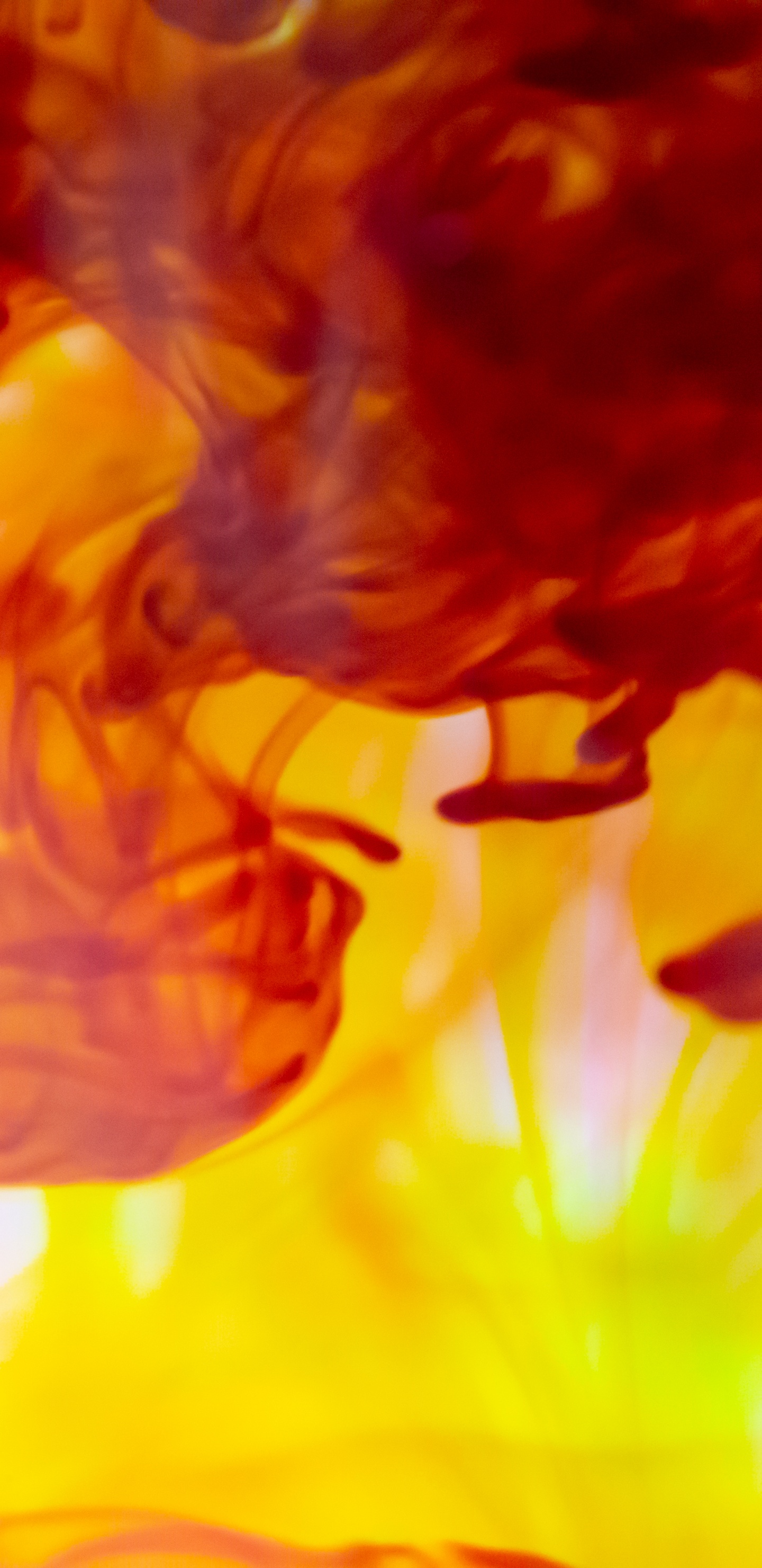 Orange and Yellow Abstract Painting. Wallpaper in 1440x2960 Resolution